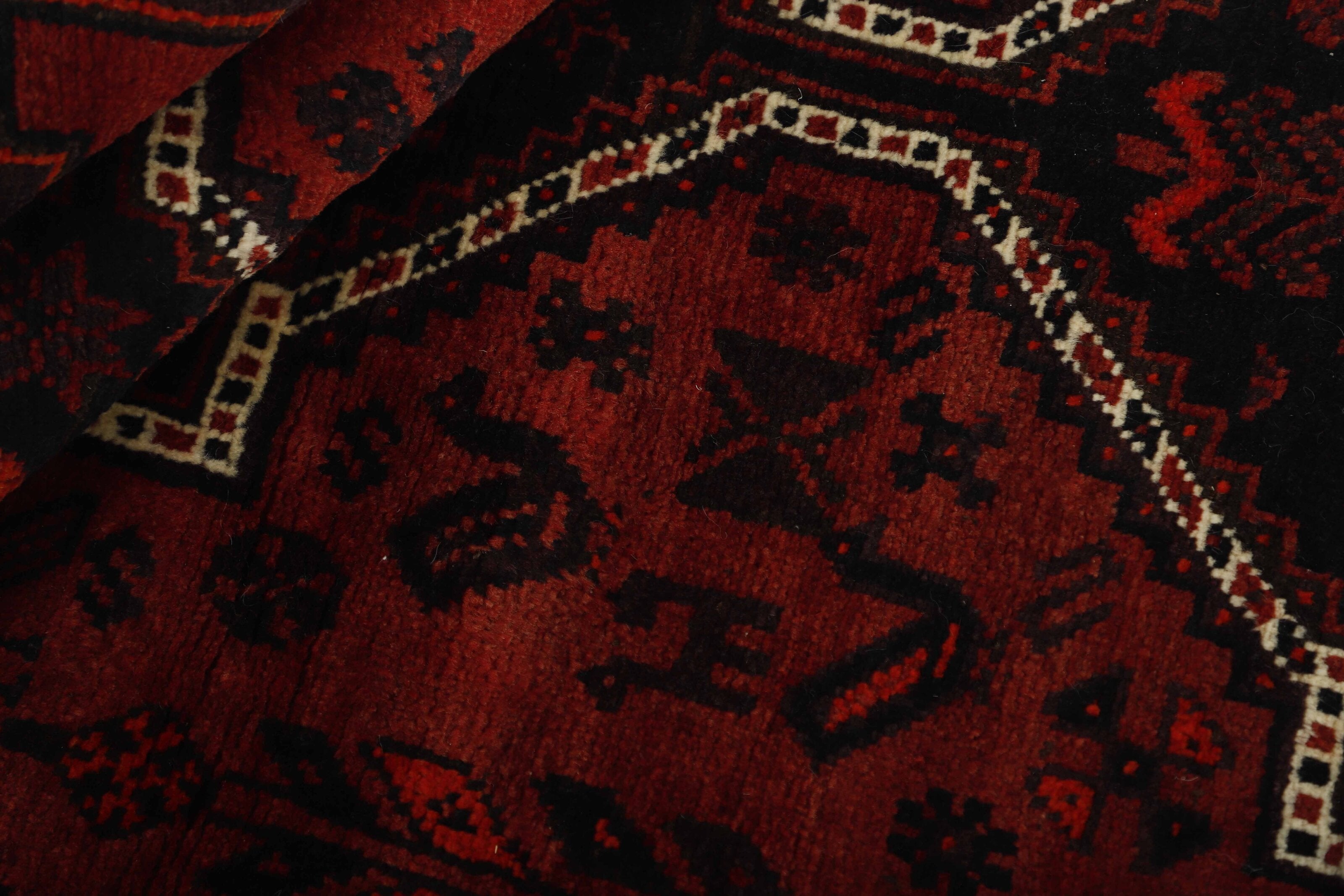 Shiraz 1485732