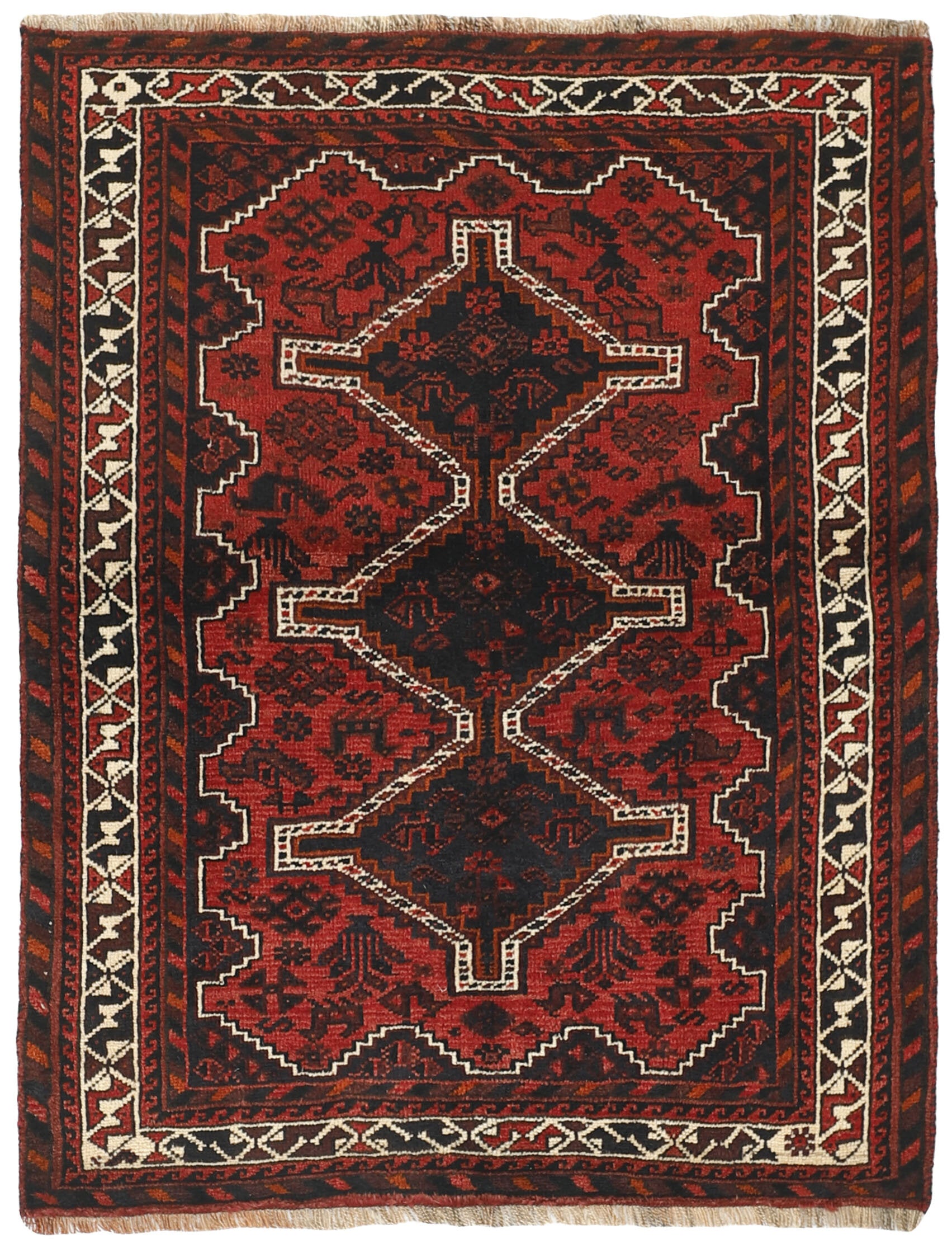 Shiraz 1485734