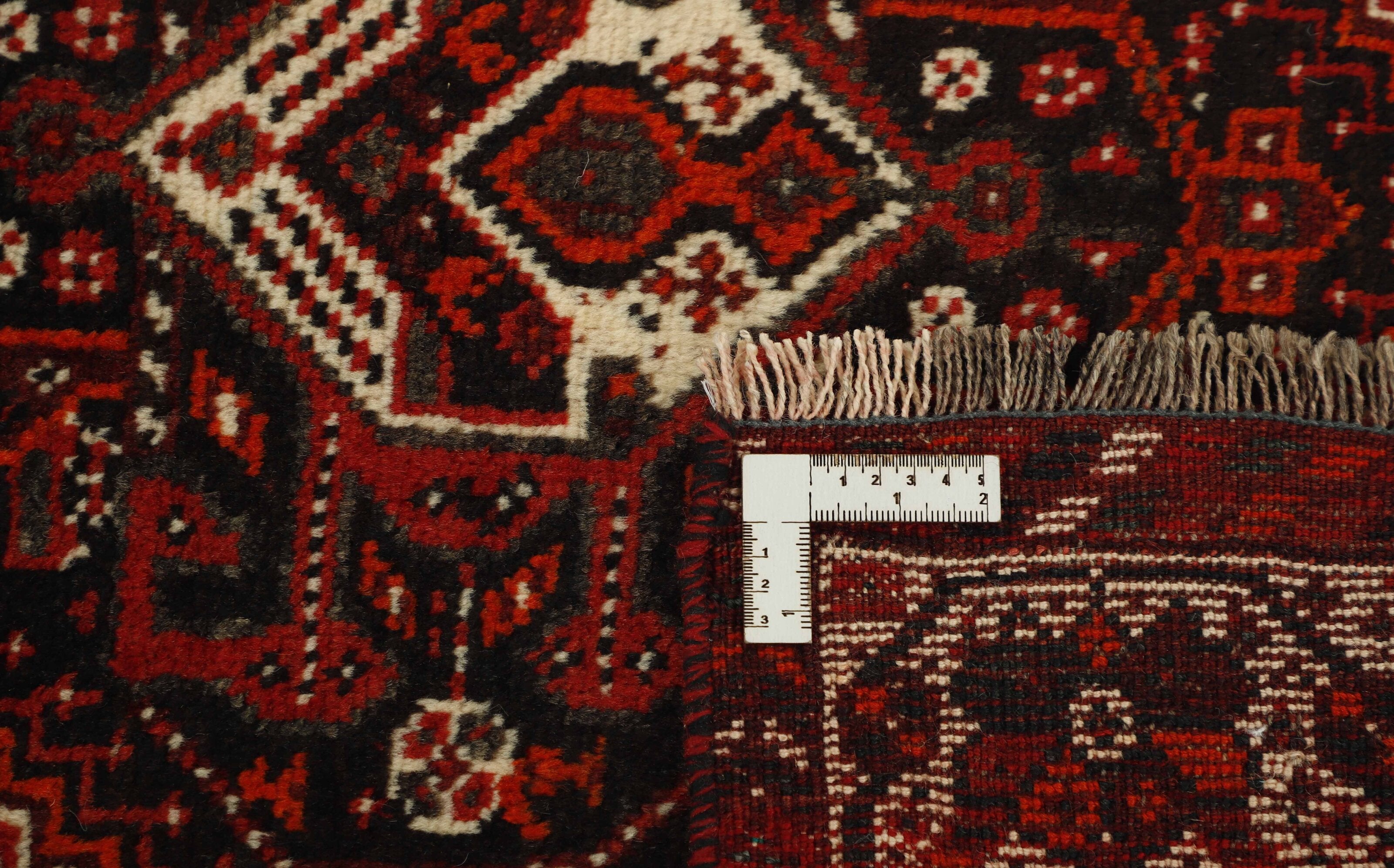 Shiraz 1485735