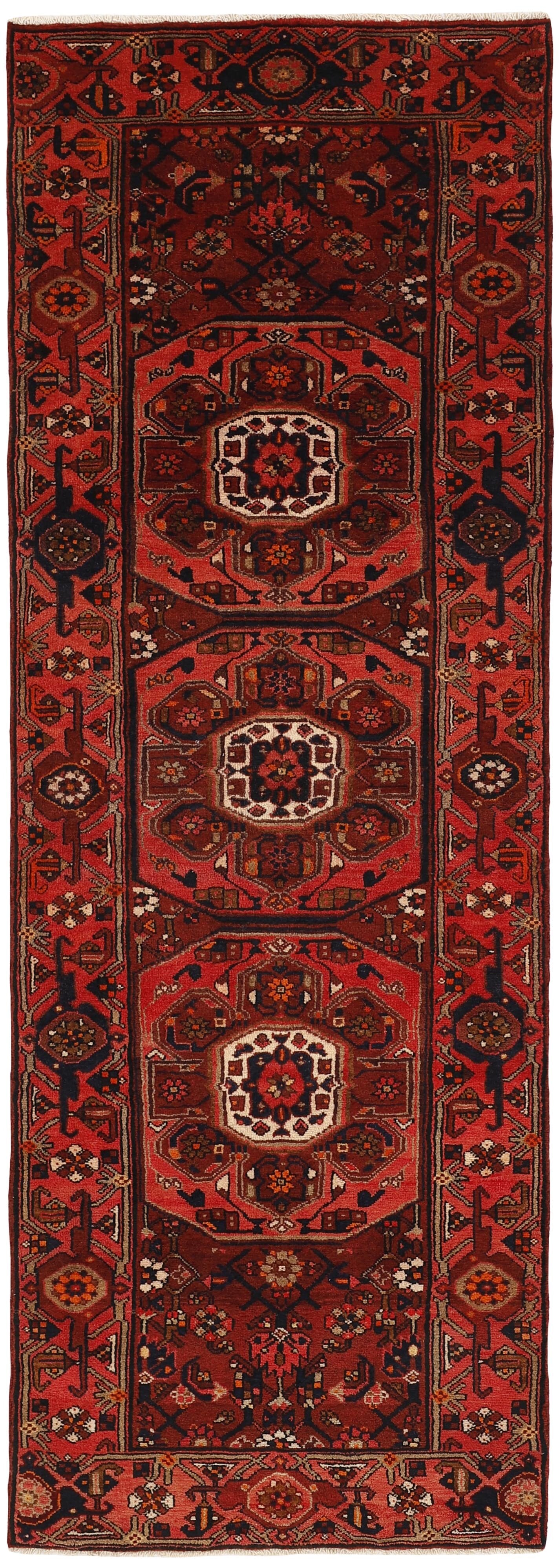 Kamseh Runner 1487644