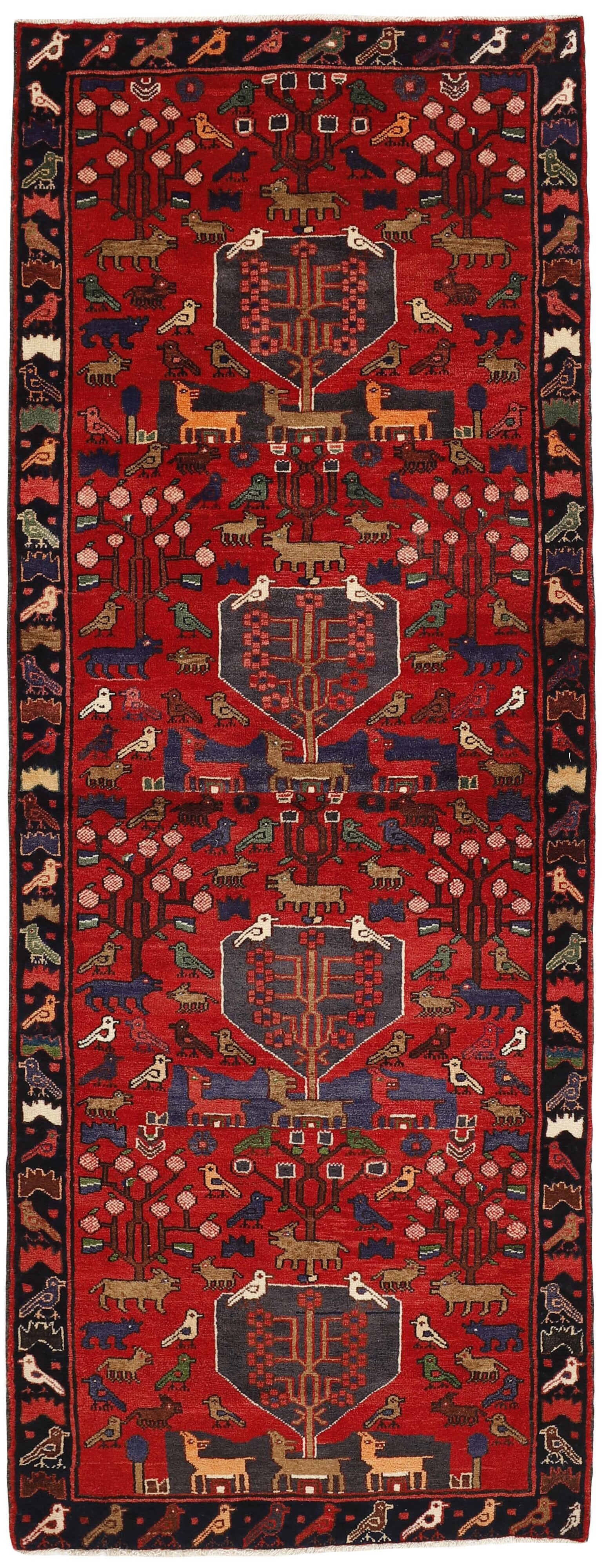 Kamseh Runner 1487648