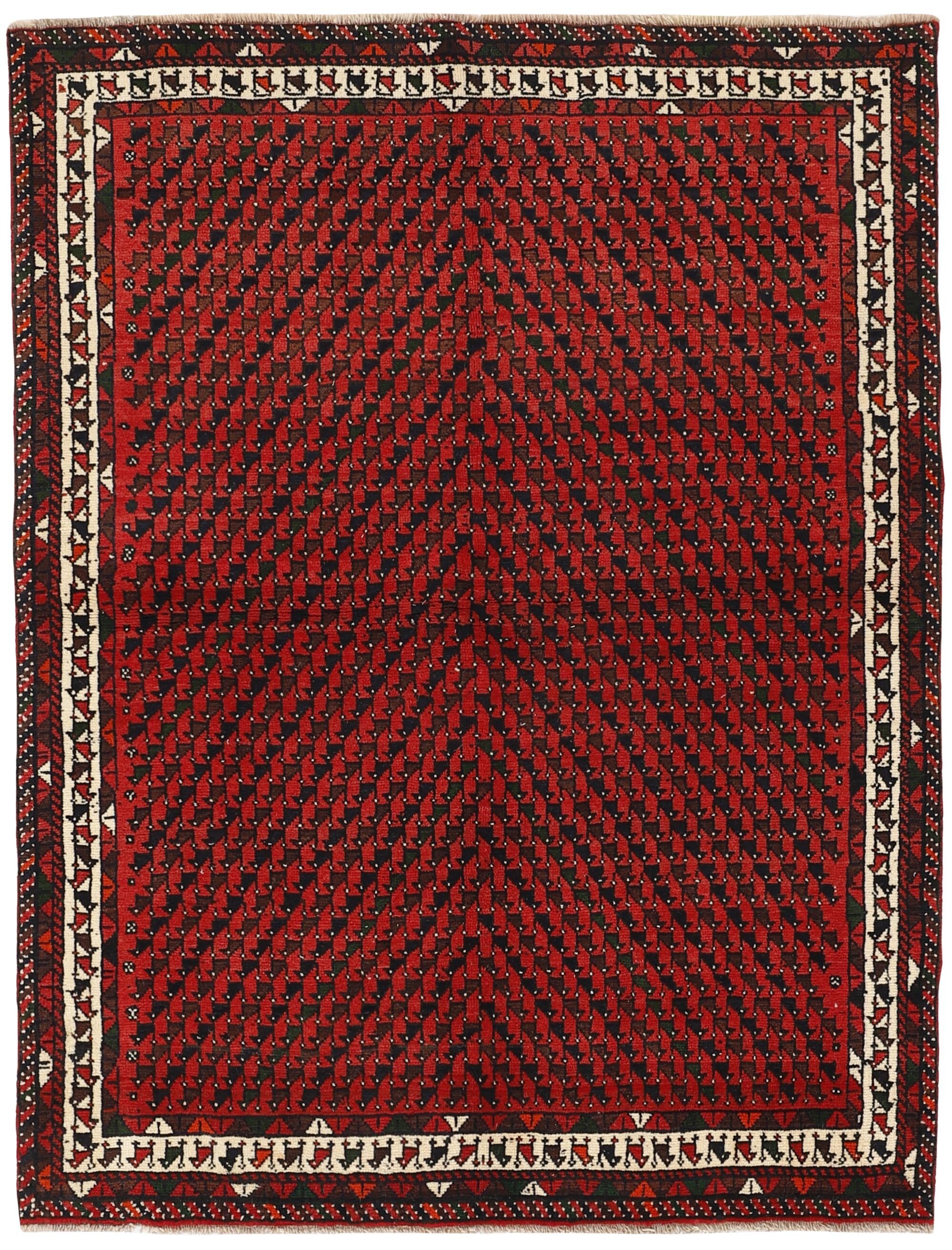 Shiraz 1489769