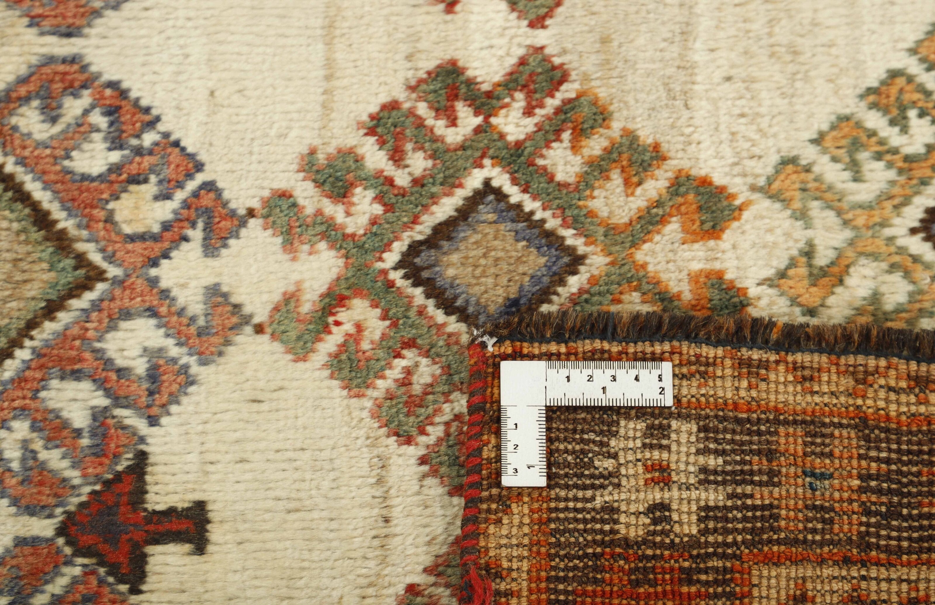 Shiraz Runner 1489770