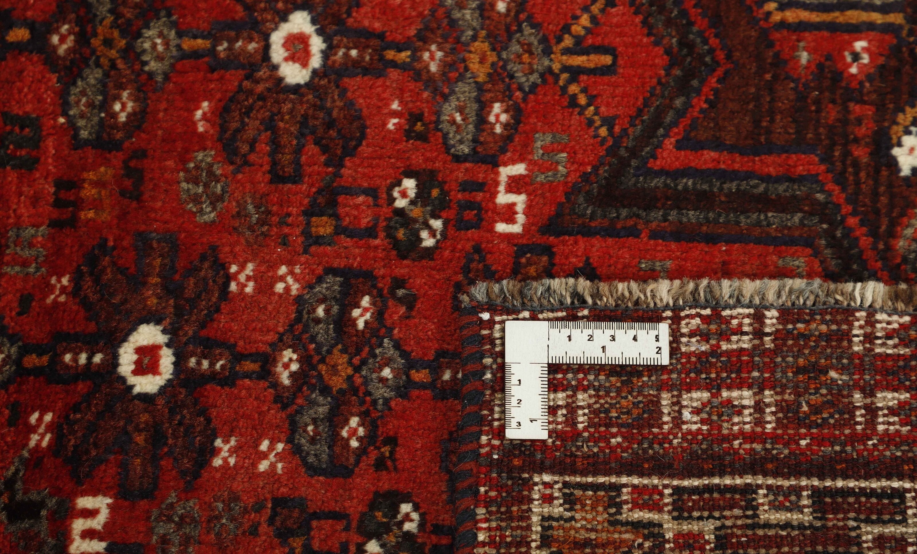 Shiraz 1489775