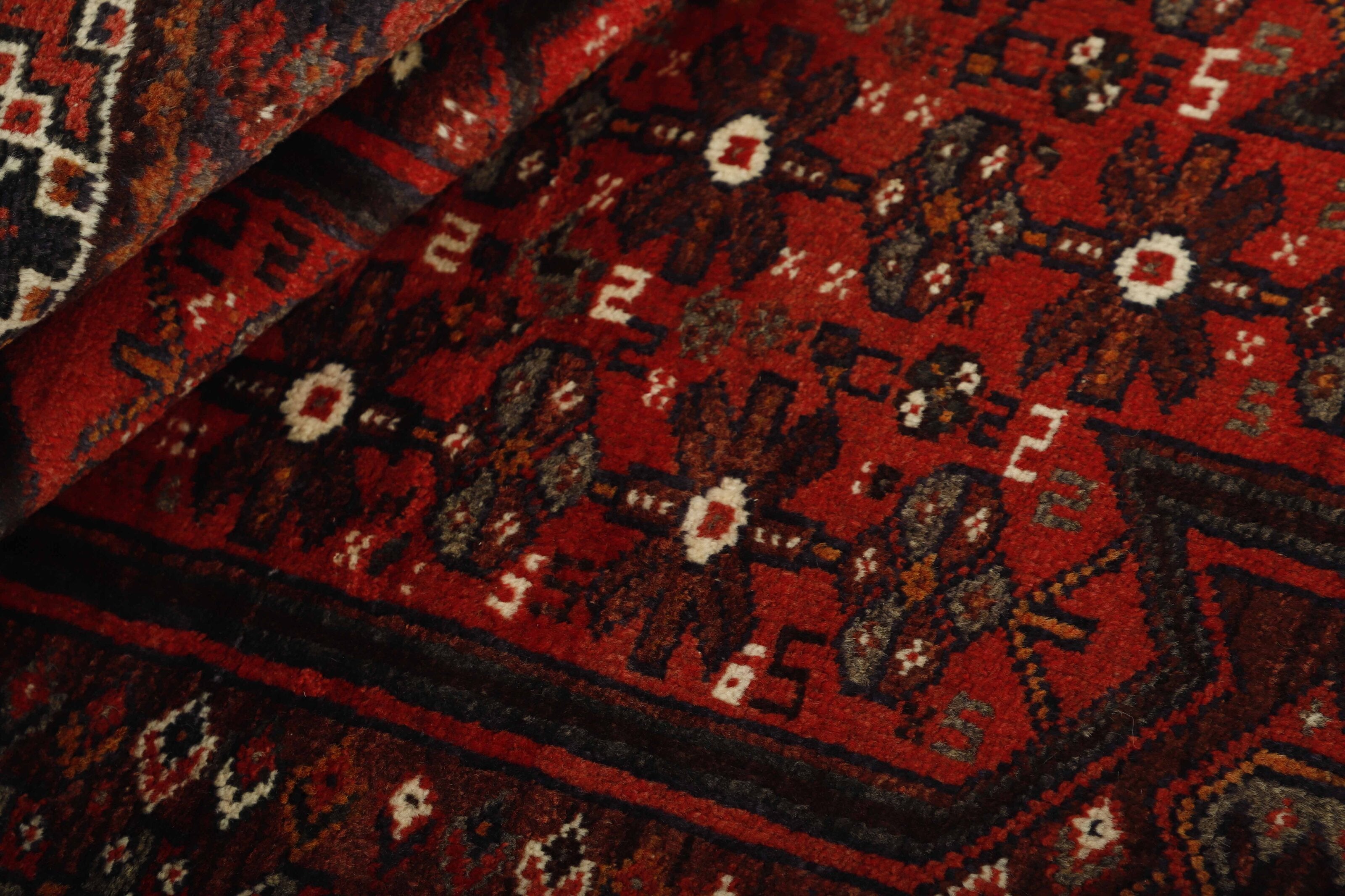 Shiraz 1489775