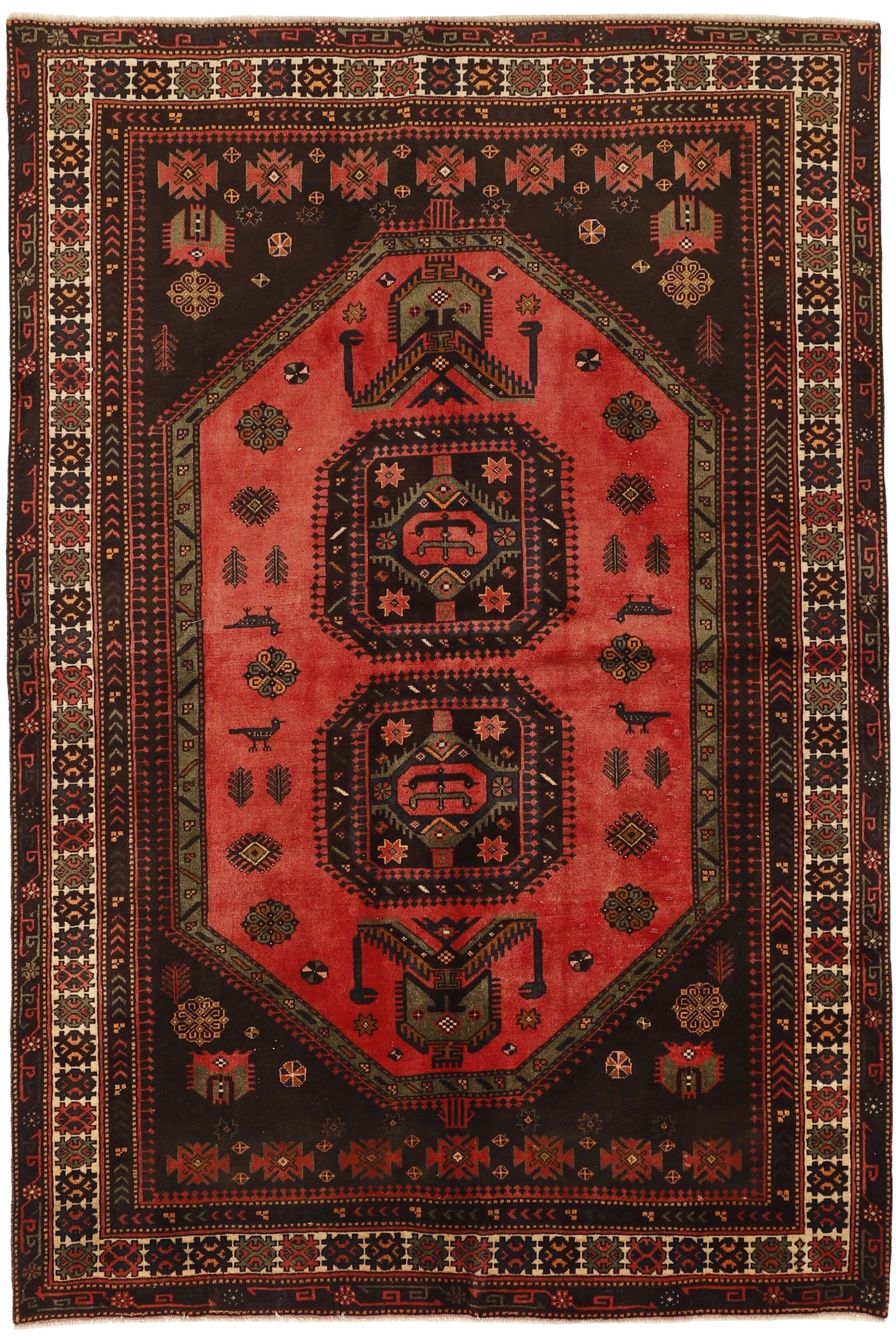 Shiraz 1489784
