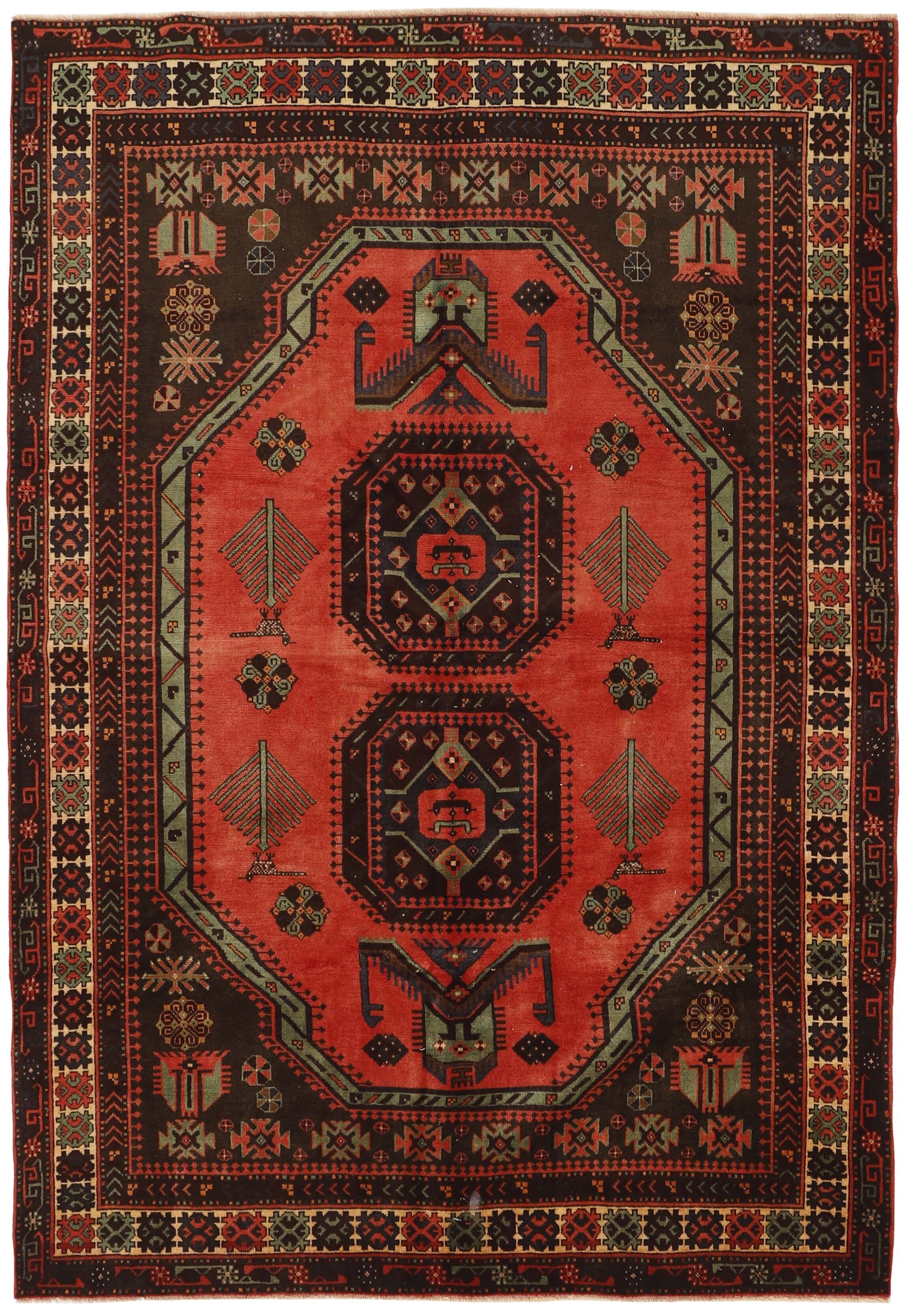Shiraz 1489786
