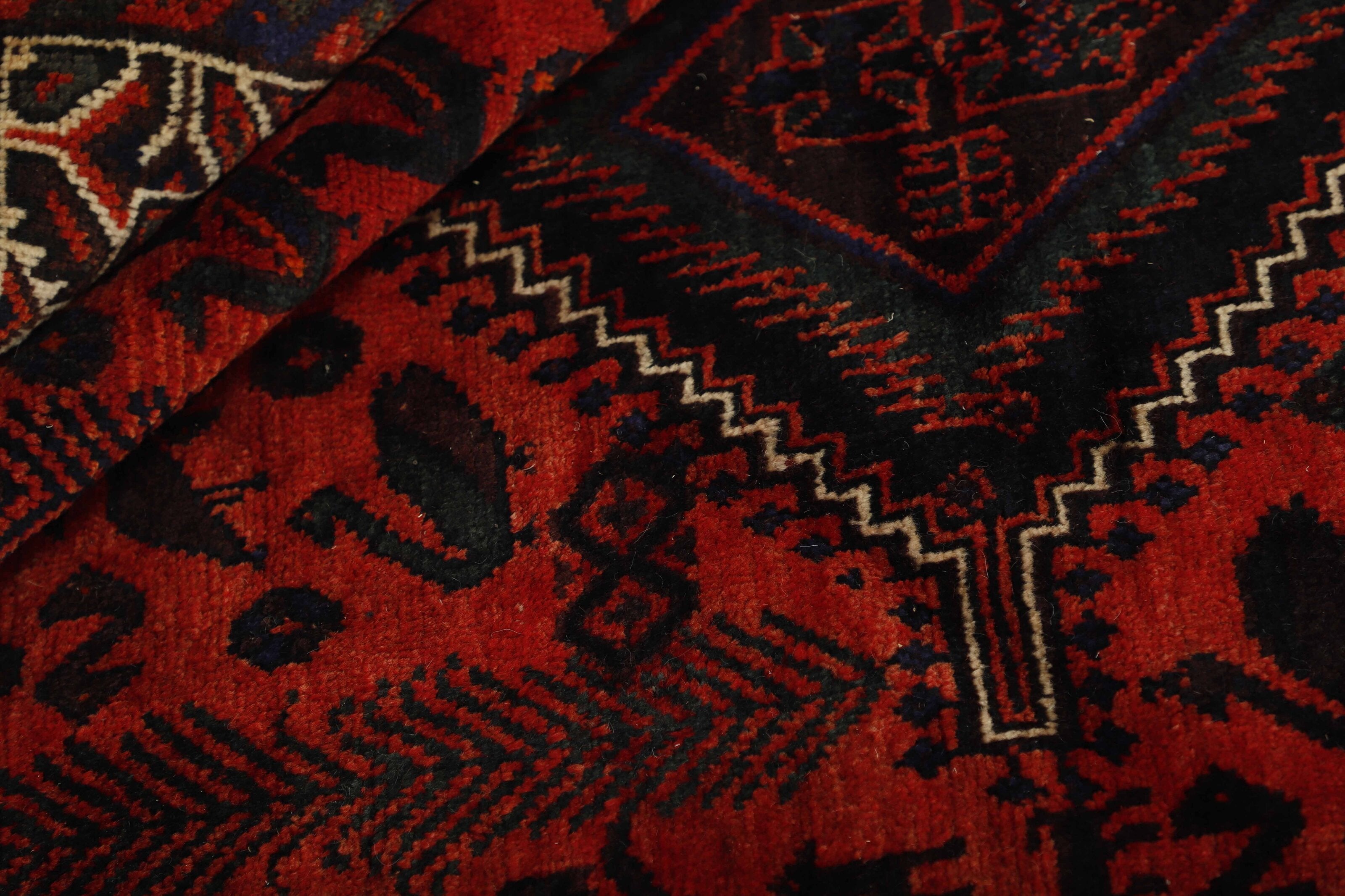 Shiraz 1489789