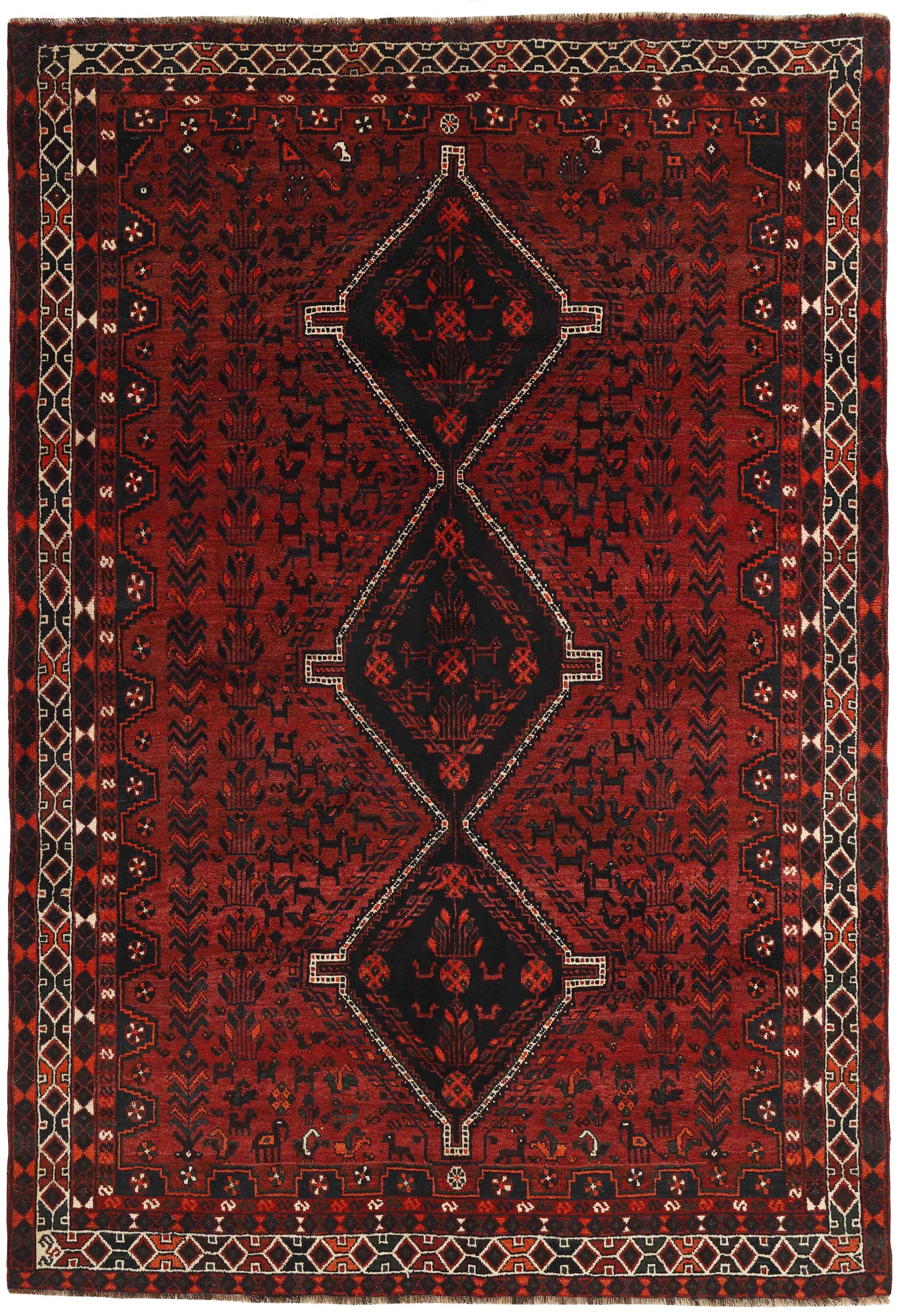 Shiraz 1489792