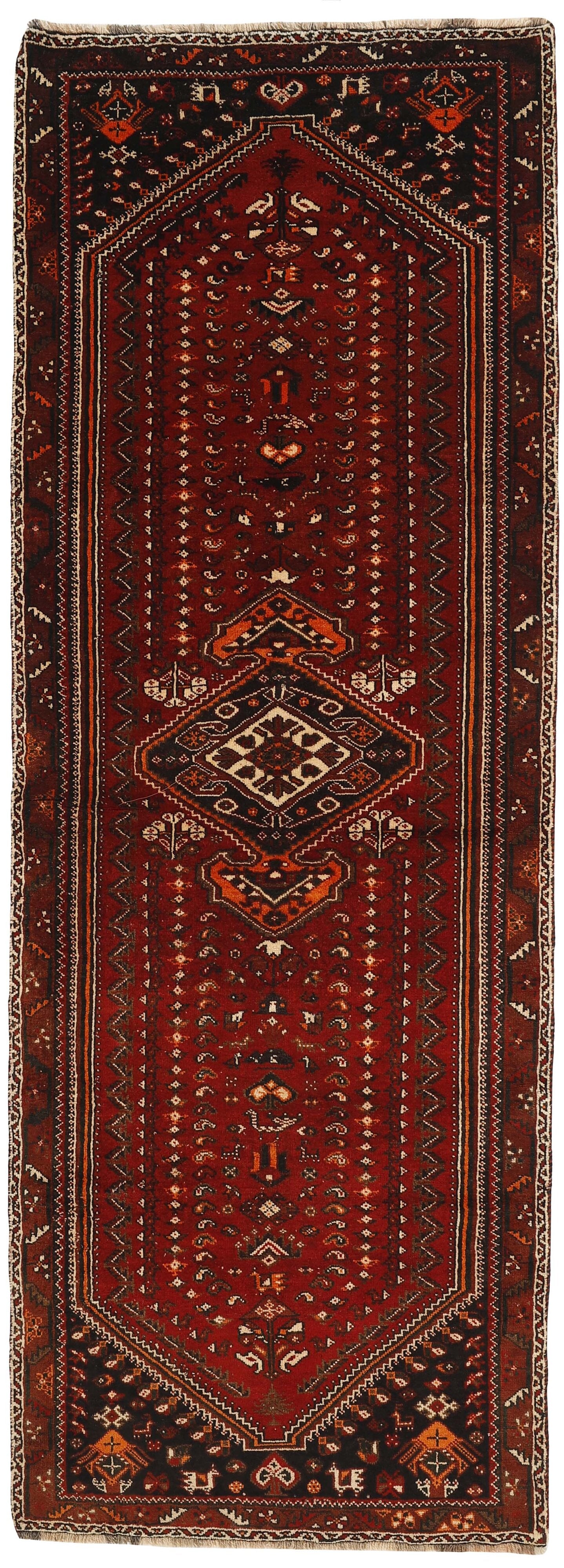 Shiraz Runner 1489796