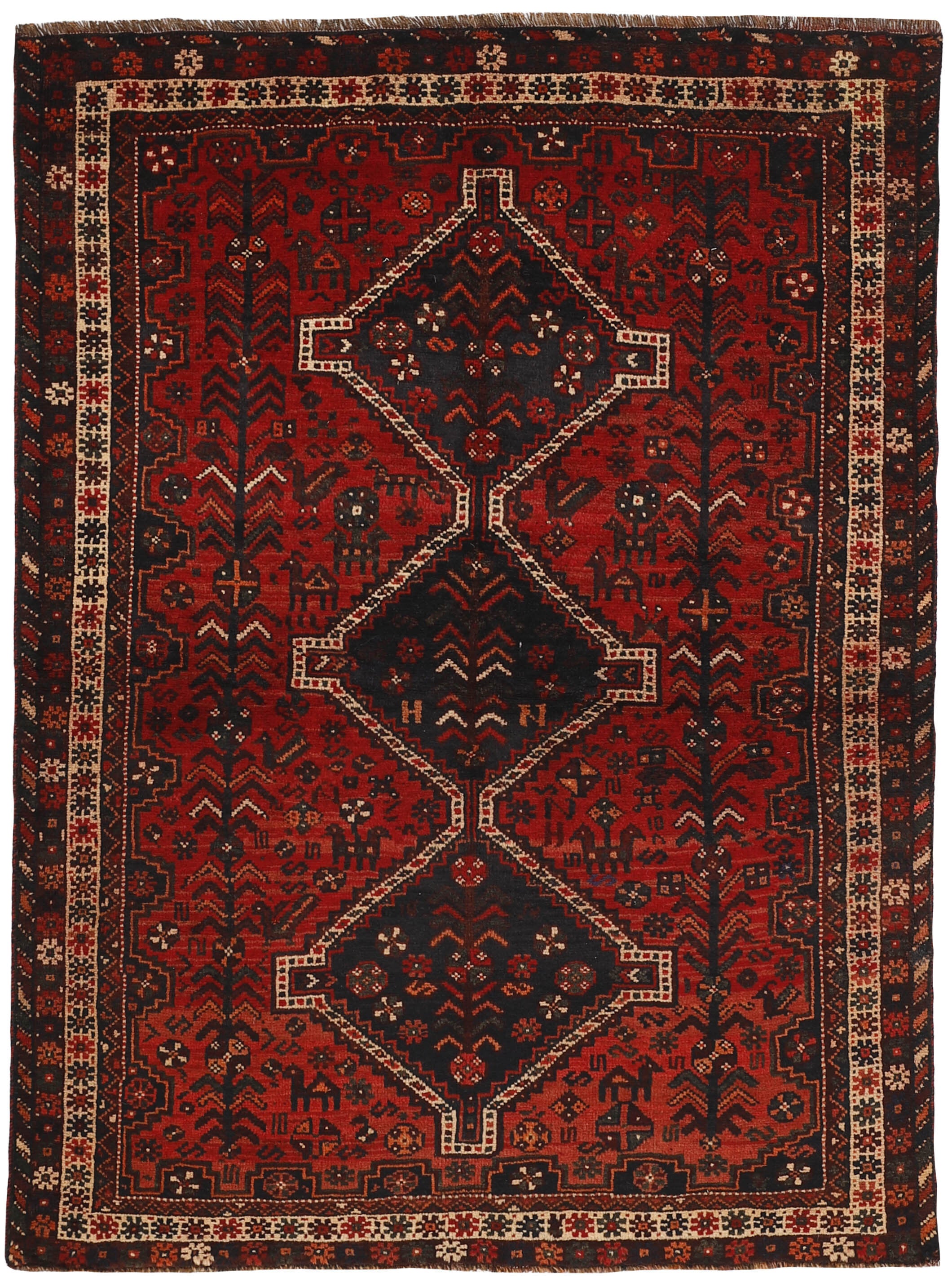 Shiraz 1489798