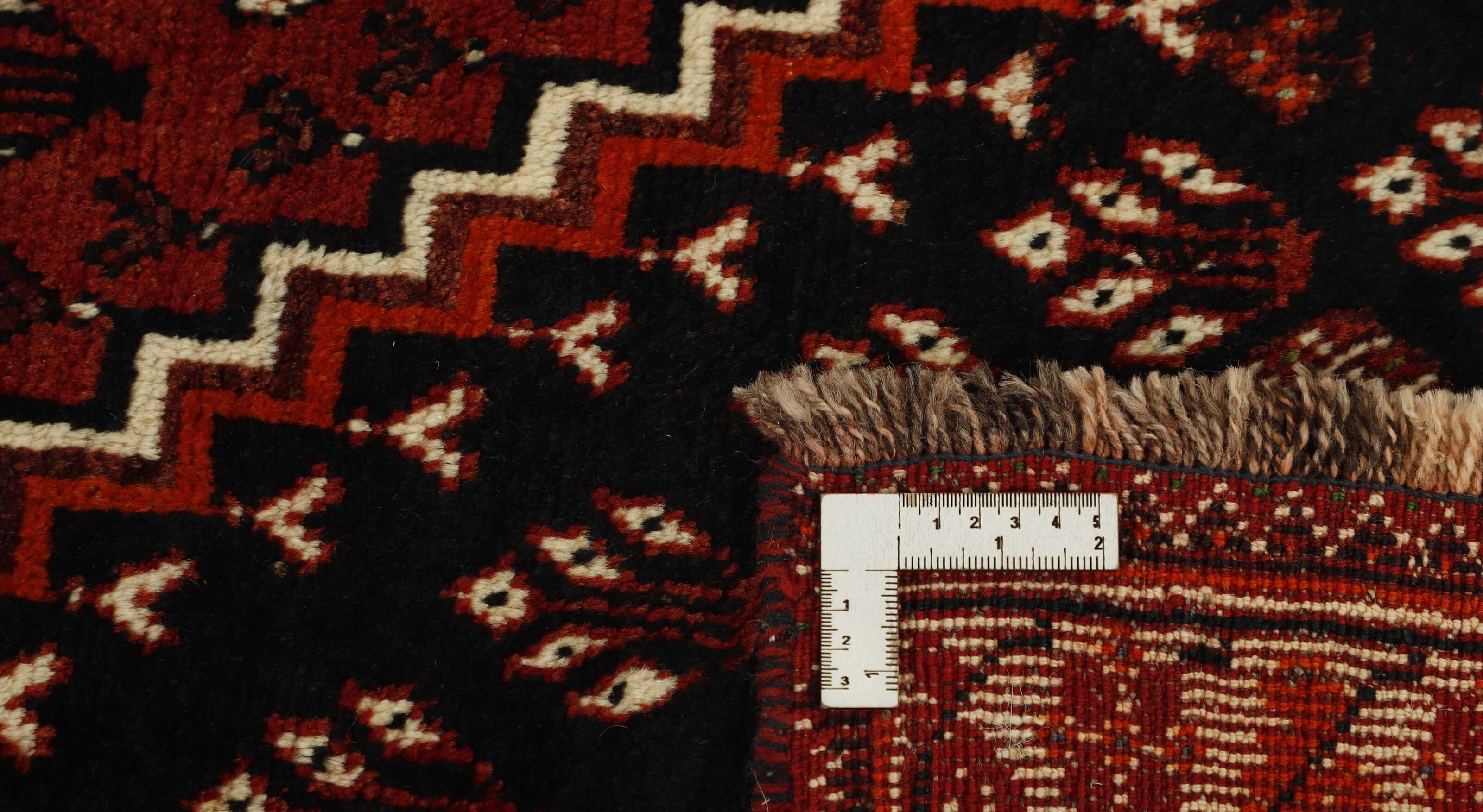 Shiraz 1489803
