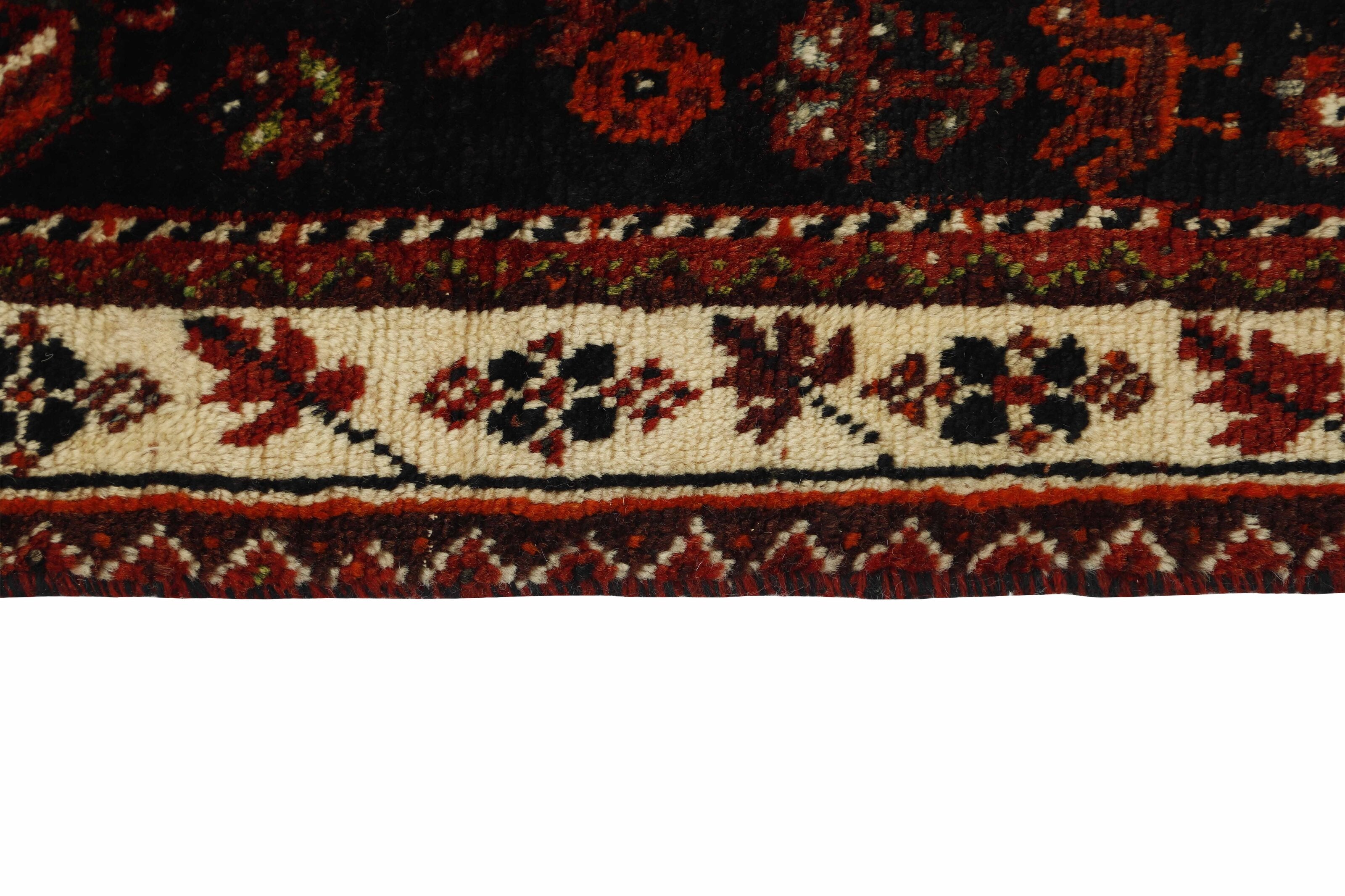Shiraz 1489803