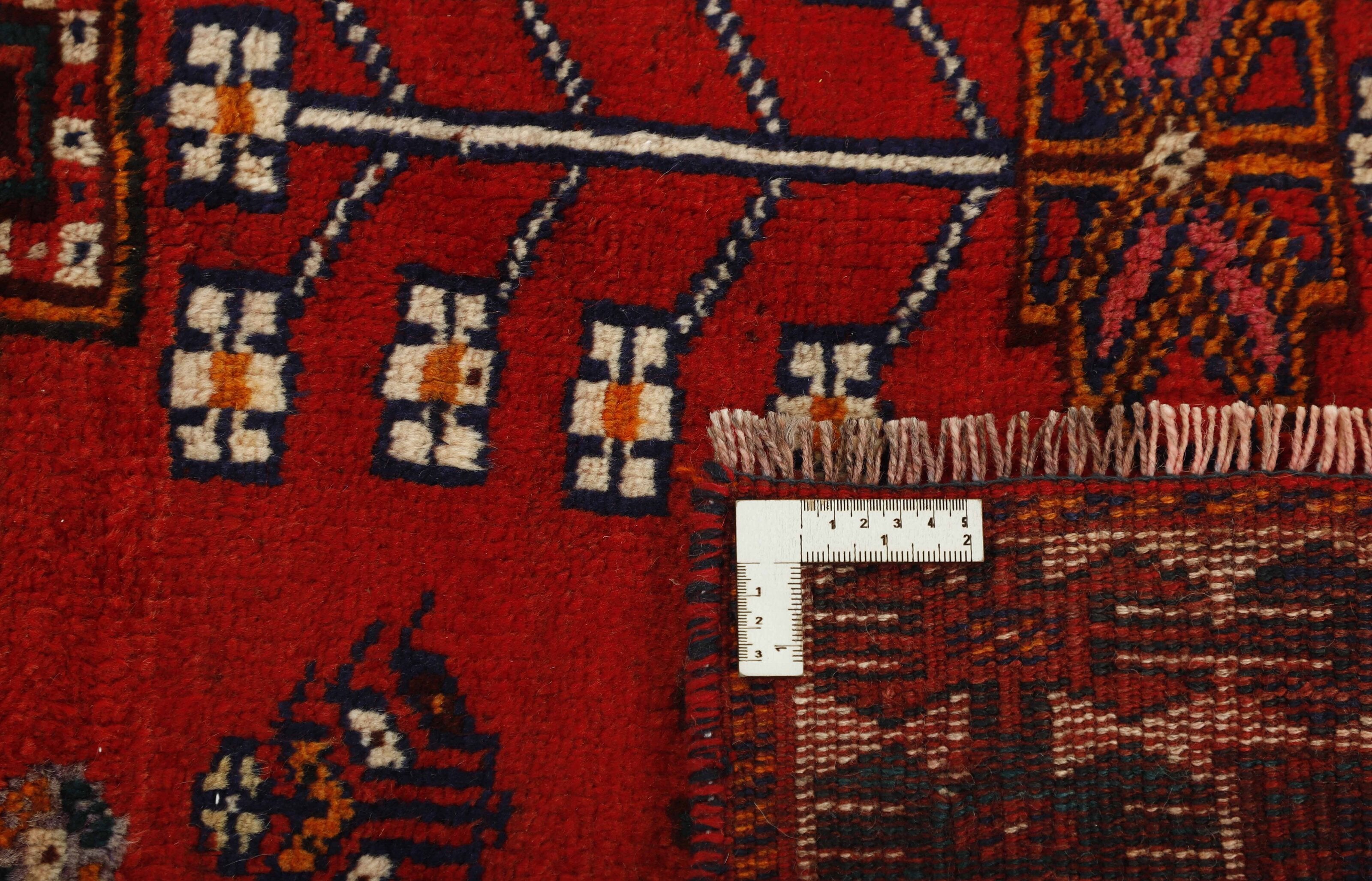 Shiraz 1489804