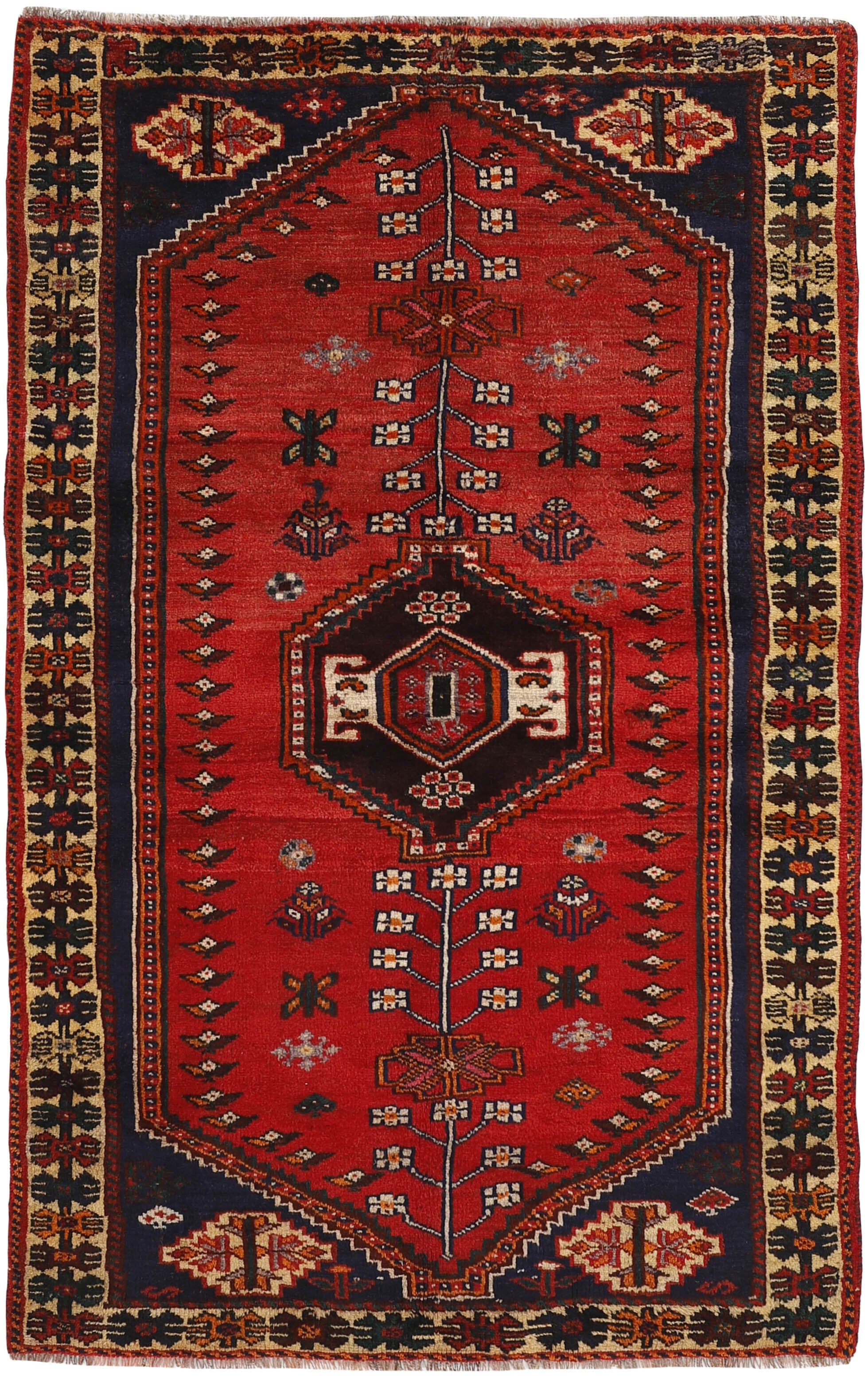 Shiraz 1489804