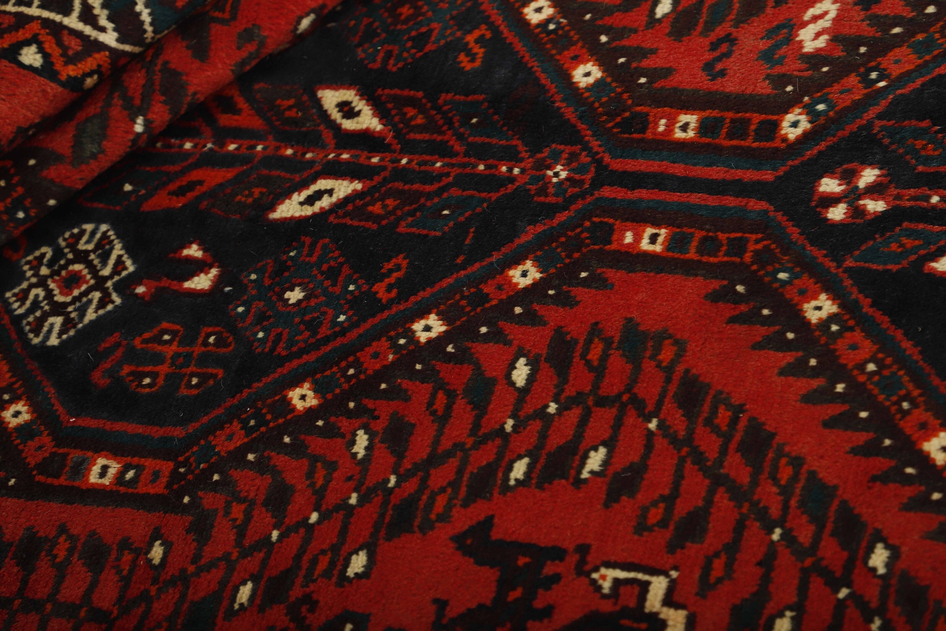 Shiraz 1489814