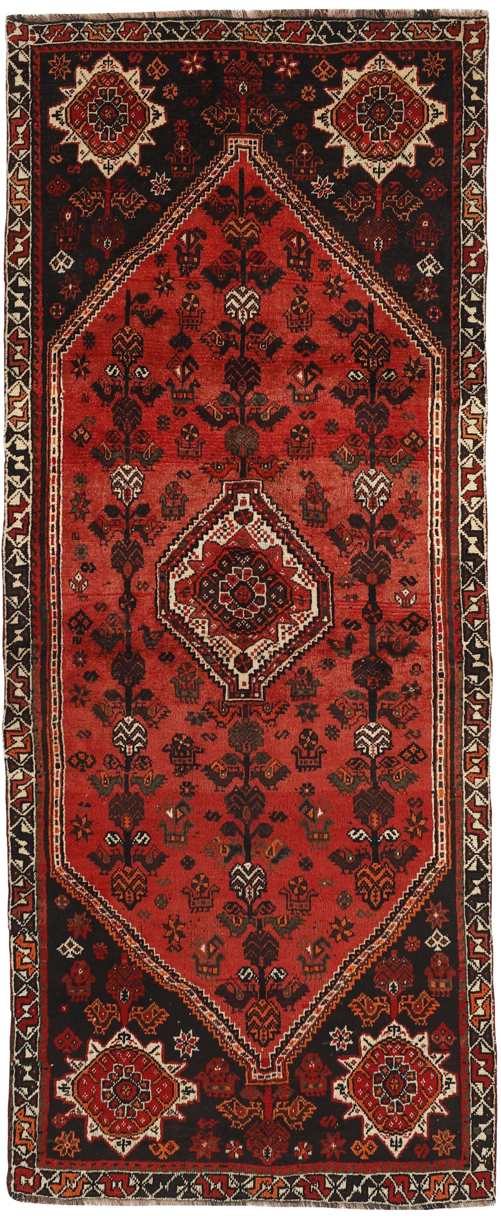 Shiraz Runner 1489822