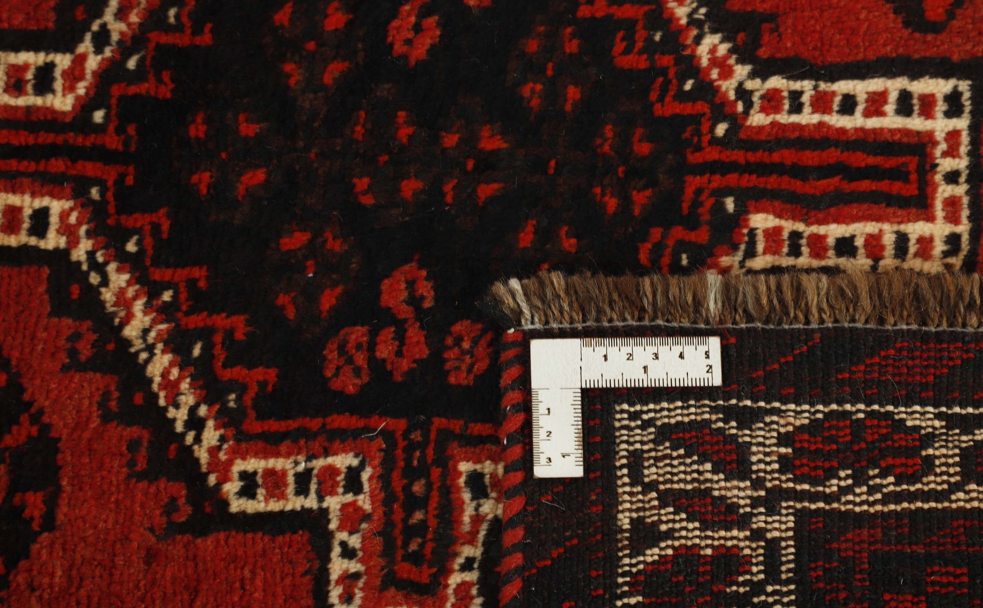 Shiraz 1491226