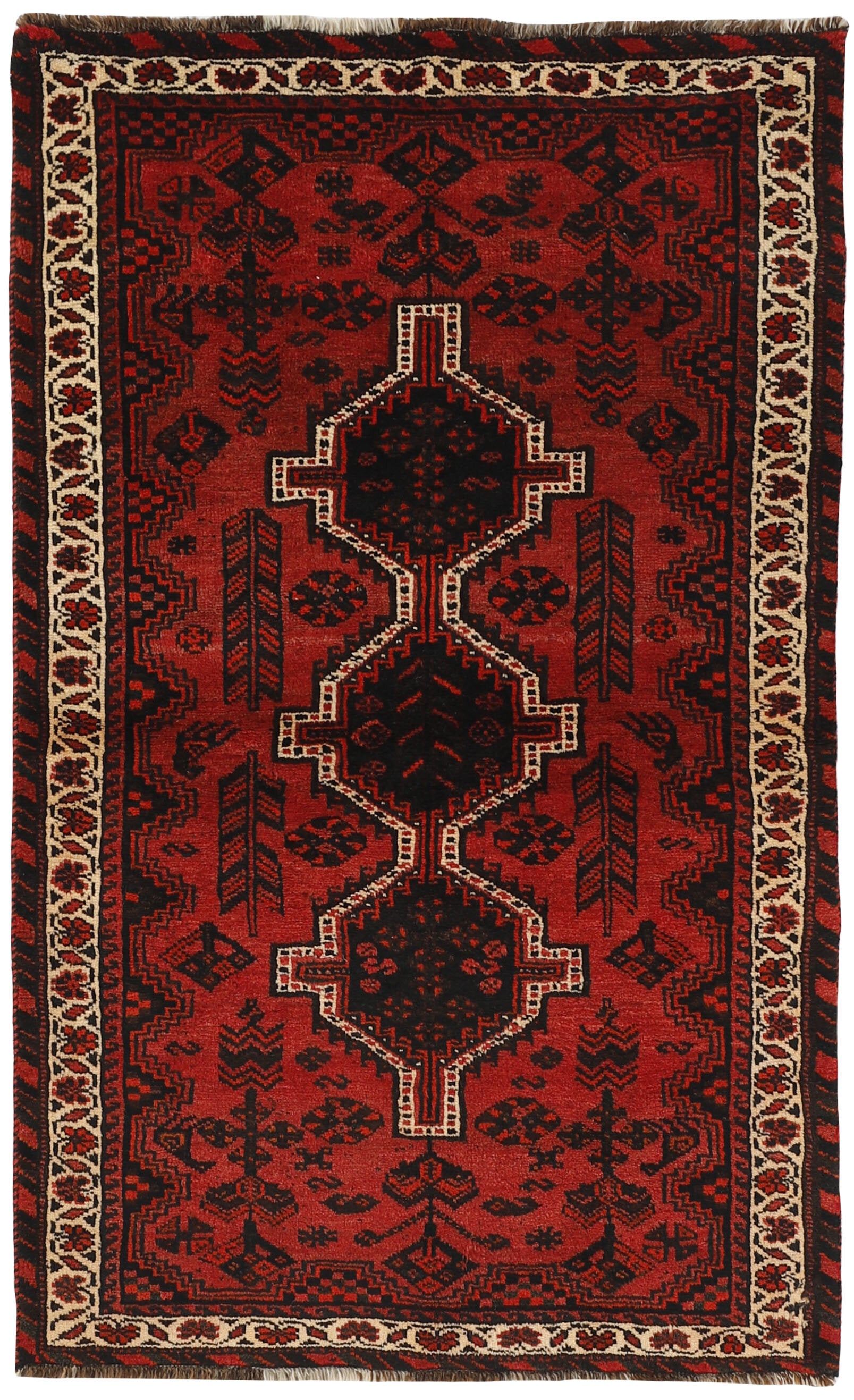 Shiraz 1491226