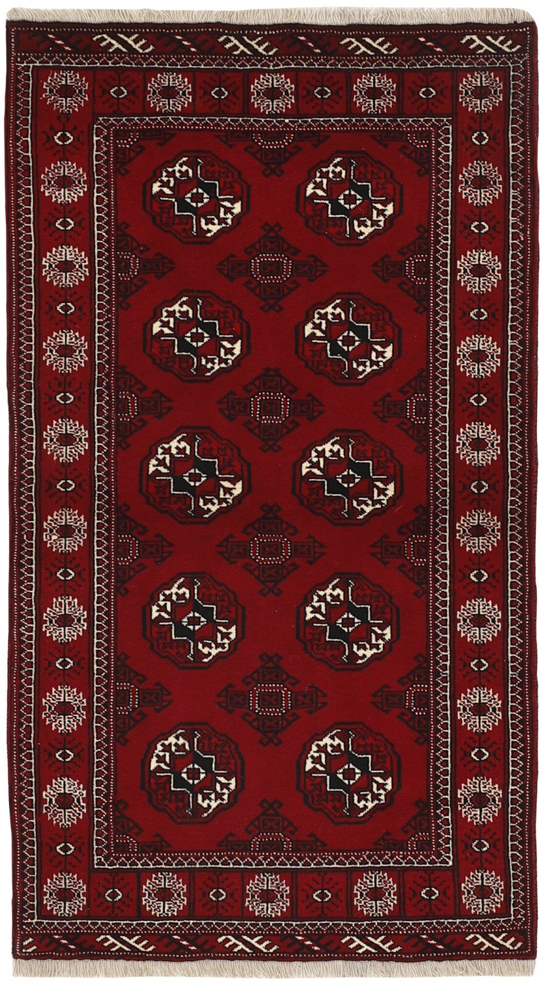 Torkaman 1491323