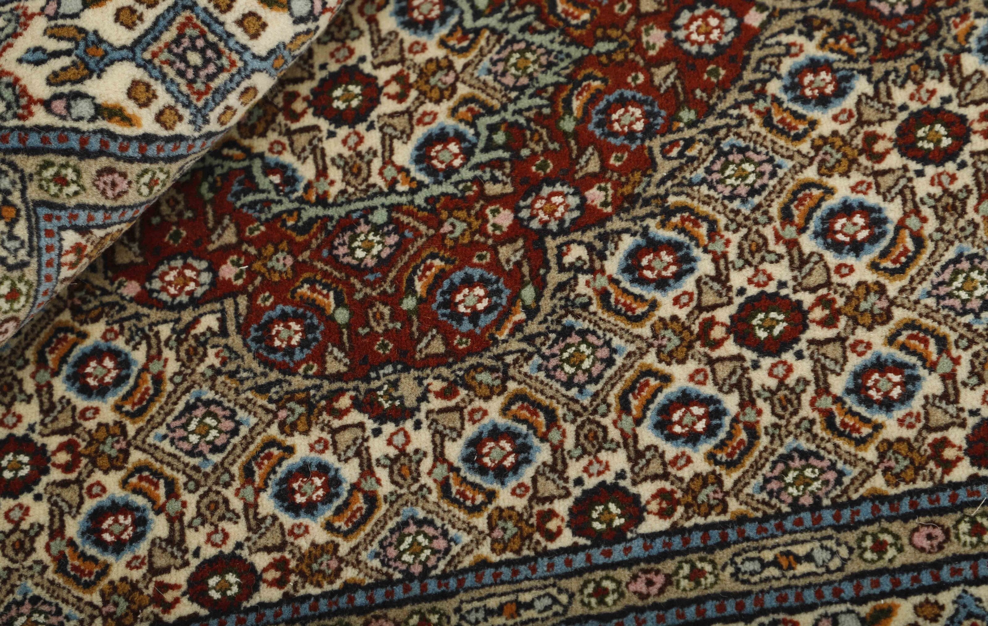 Moud Mahi 1491865