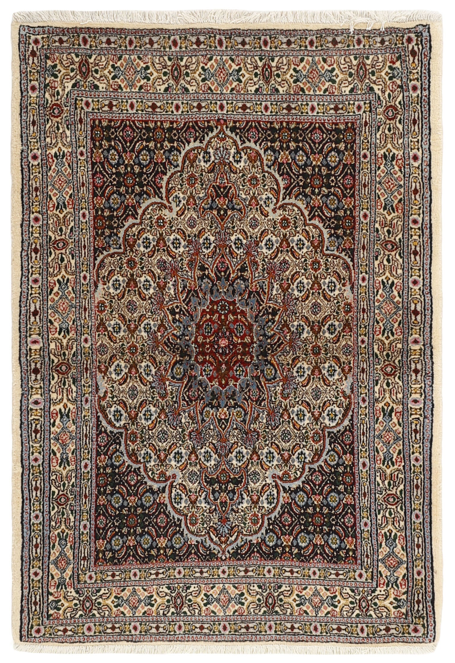 Moud Mahi 1491892