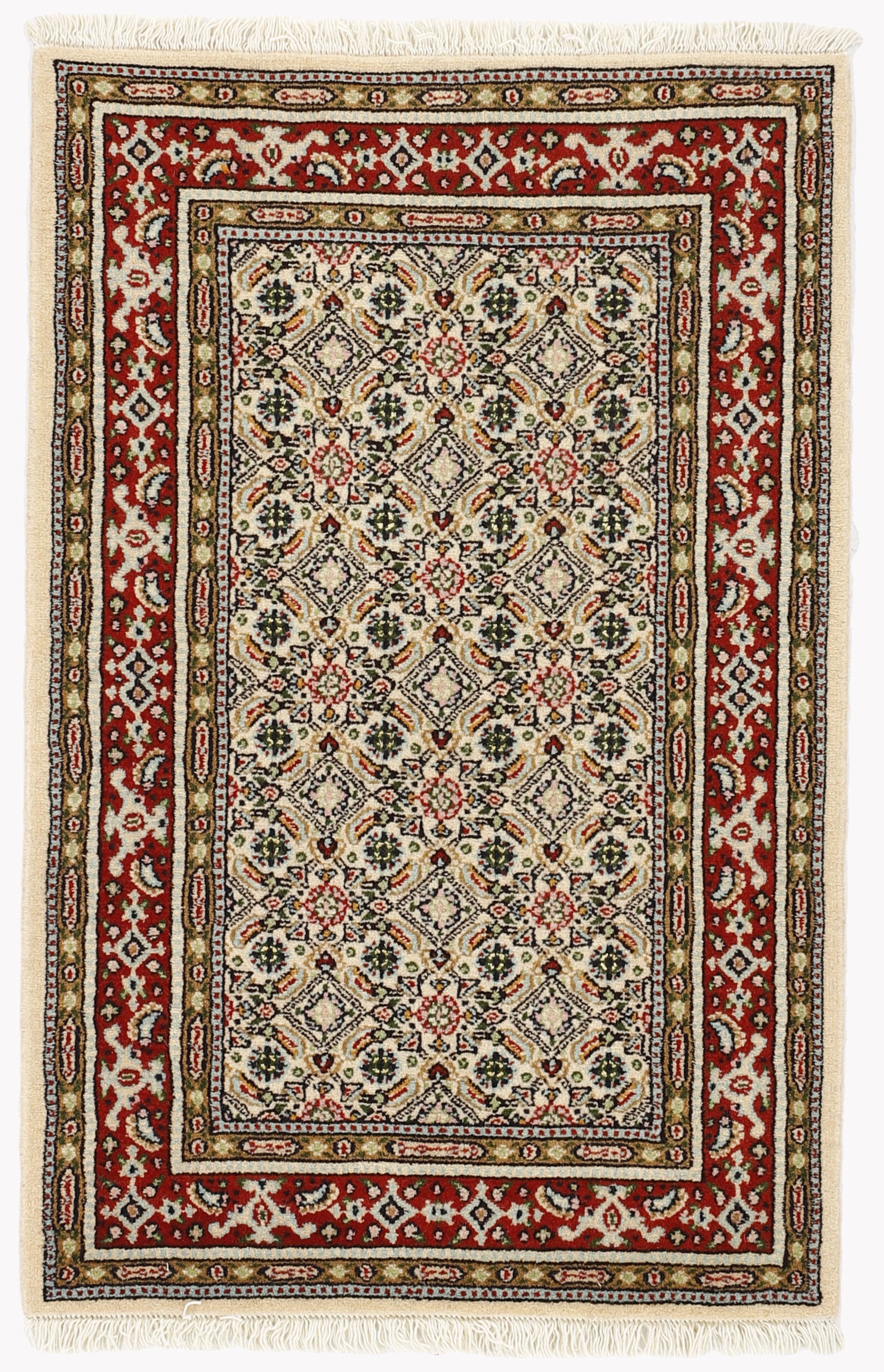 Moud Mahi 1492220