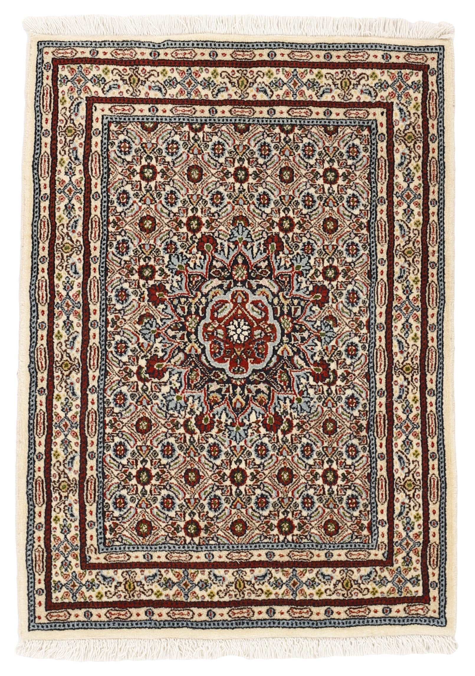 Moud Mahi 1492249