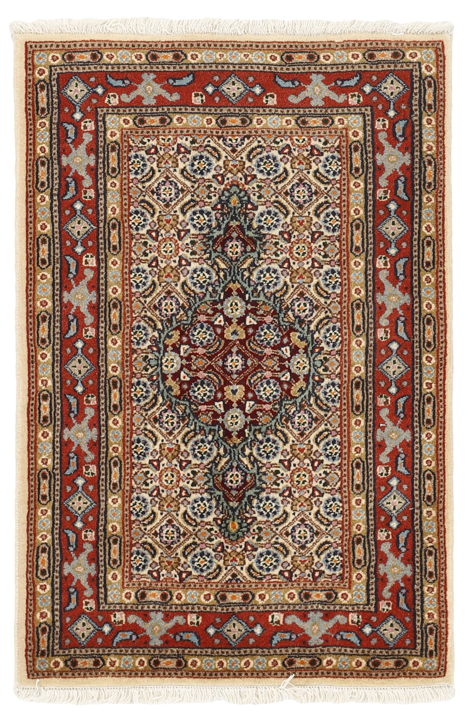 Moud Mahi 1492252
