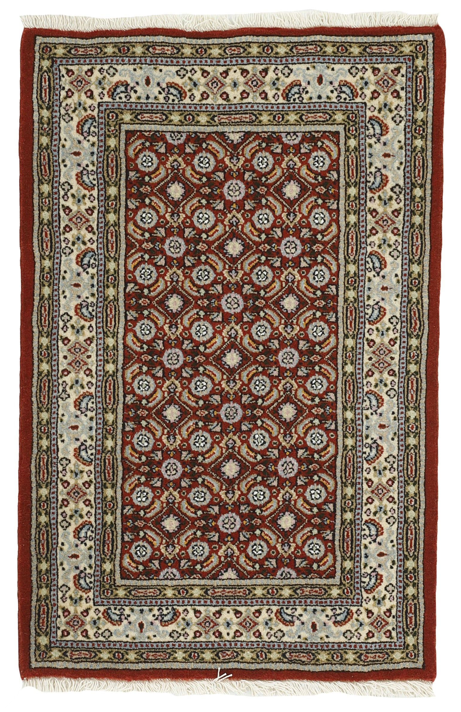 Moud Mahi 1492266