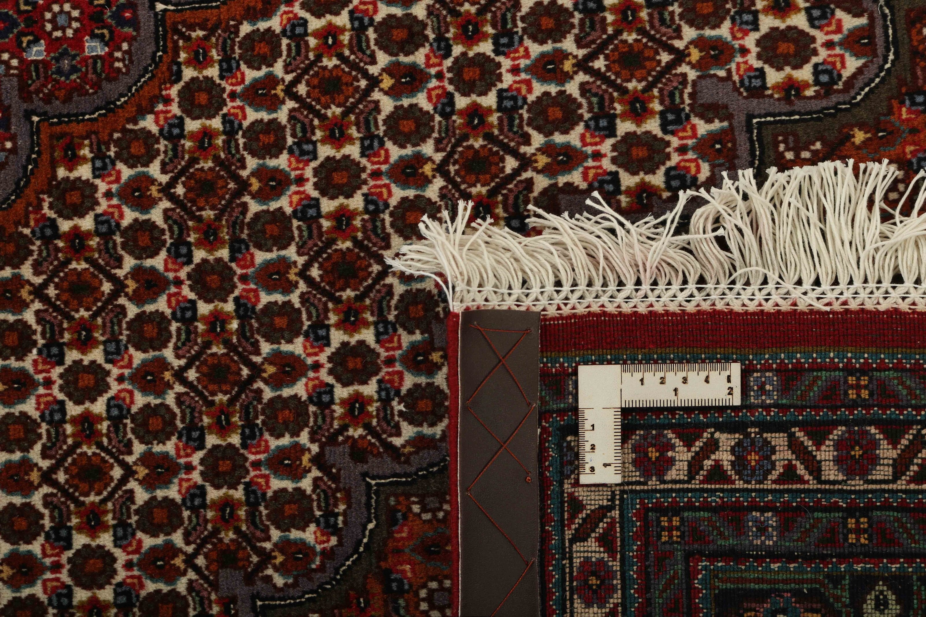 Tabriz 40 Mahi 1492978
