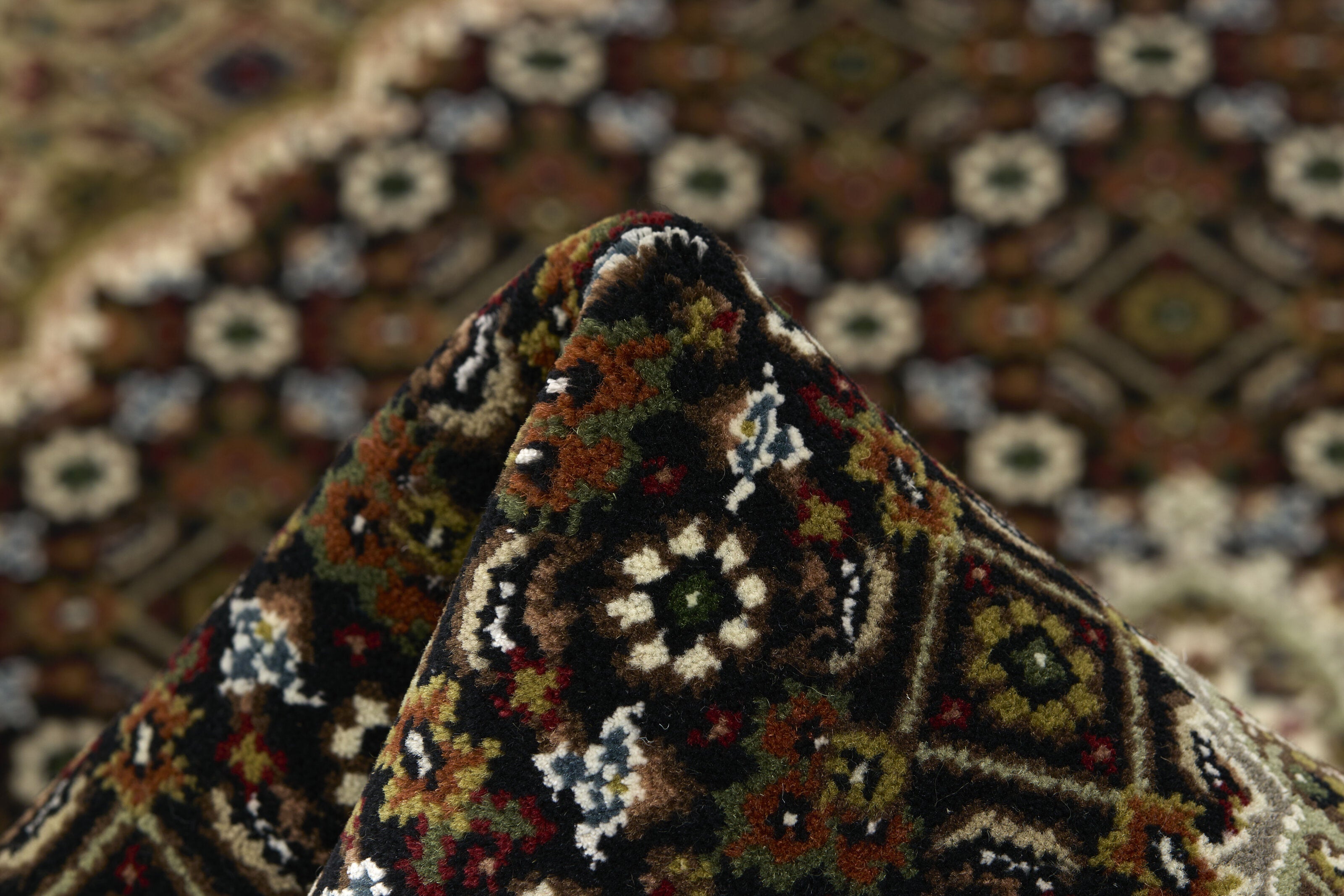Tabriz Indi 1494423