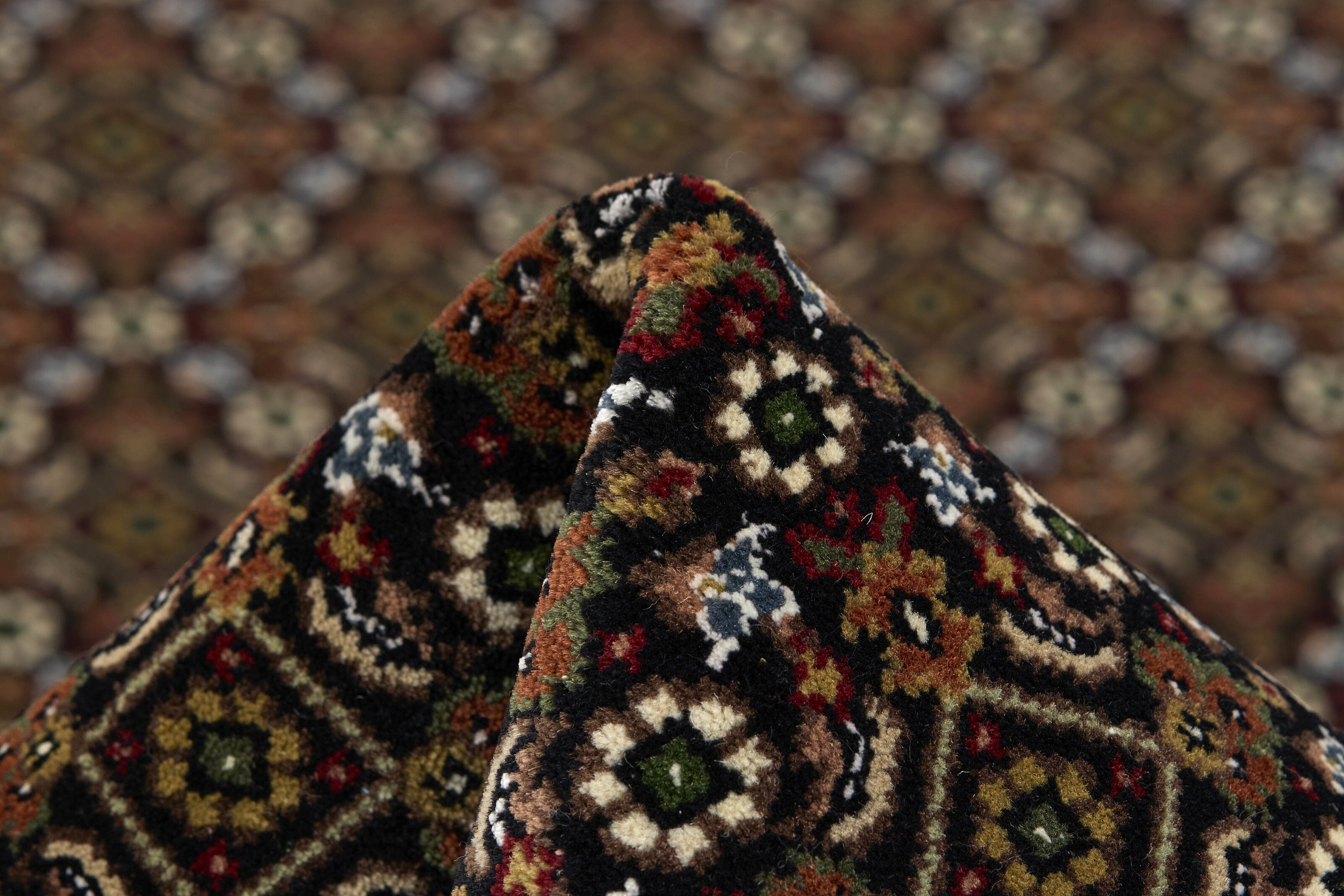 Tabriz Indi 1494492