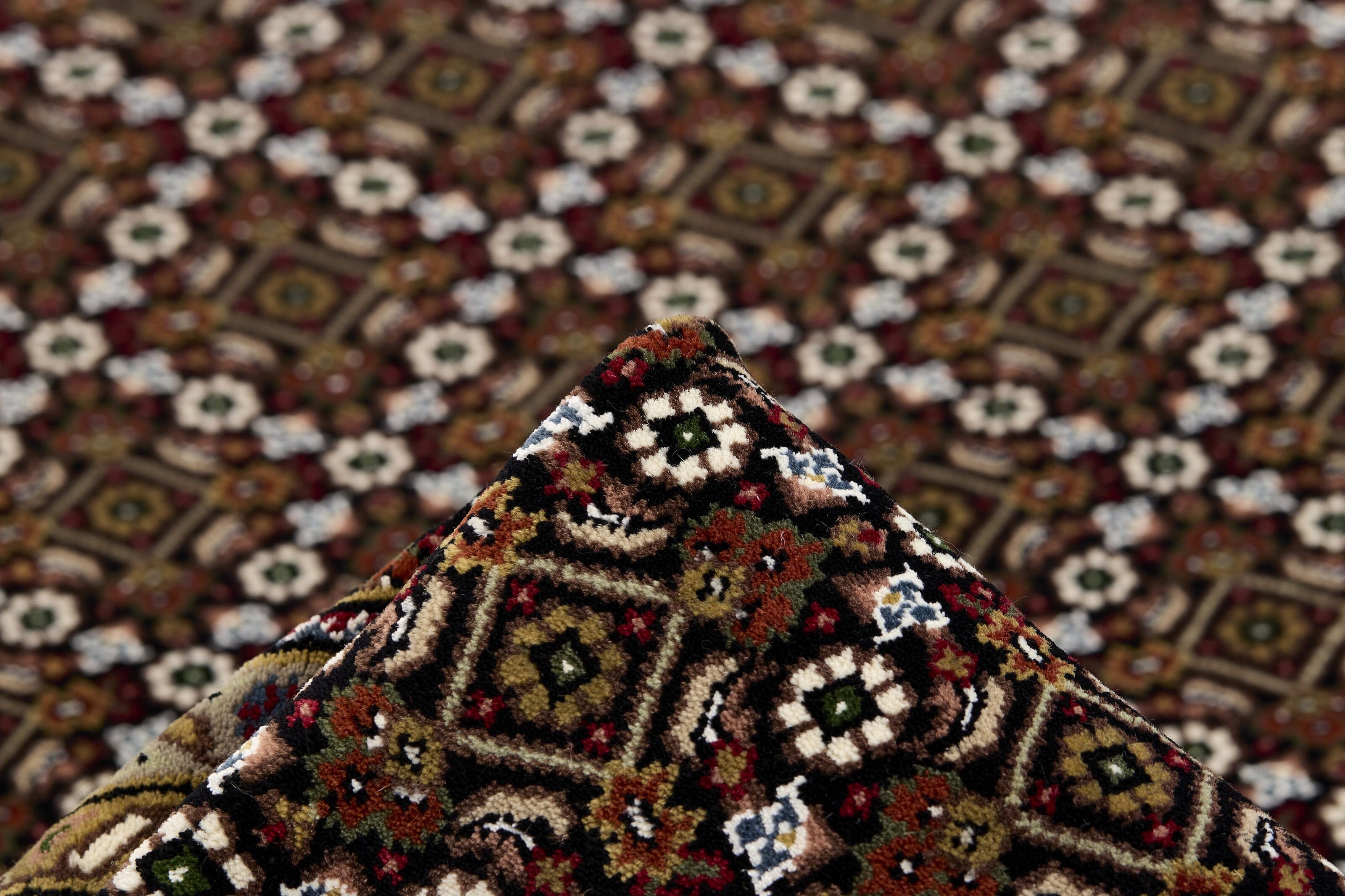 Tabriz Indi 1496882