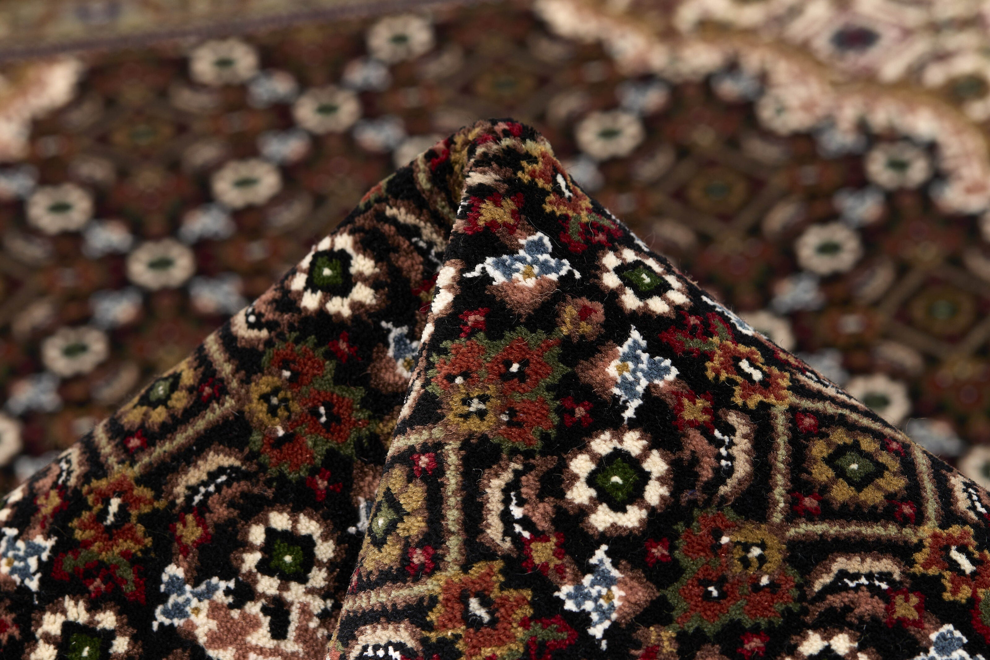 Tabriz Indi 1496894