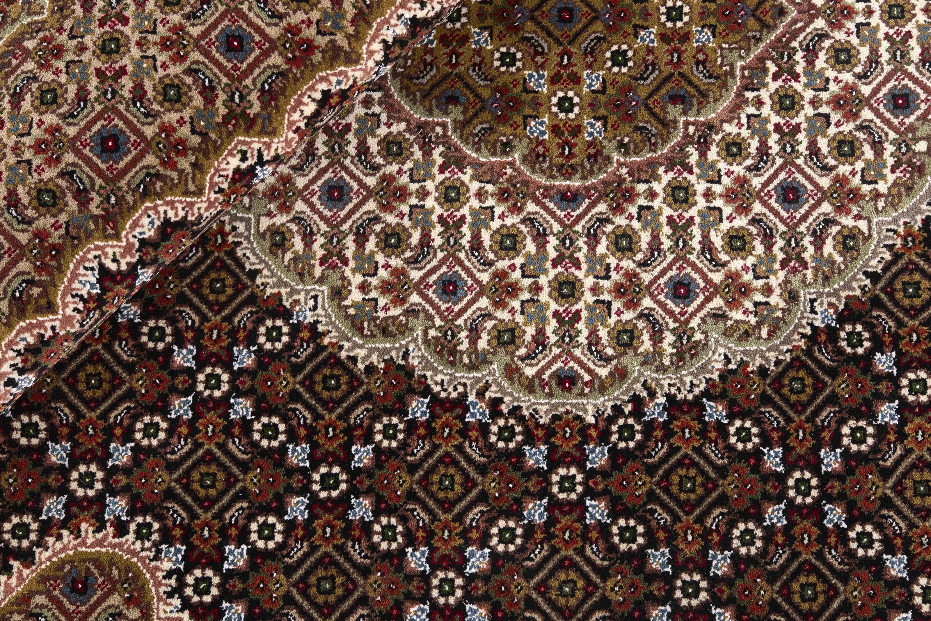 Tabriz Indi 1496952