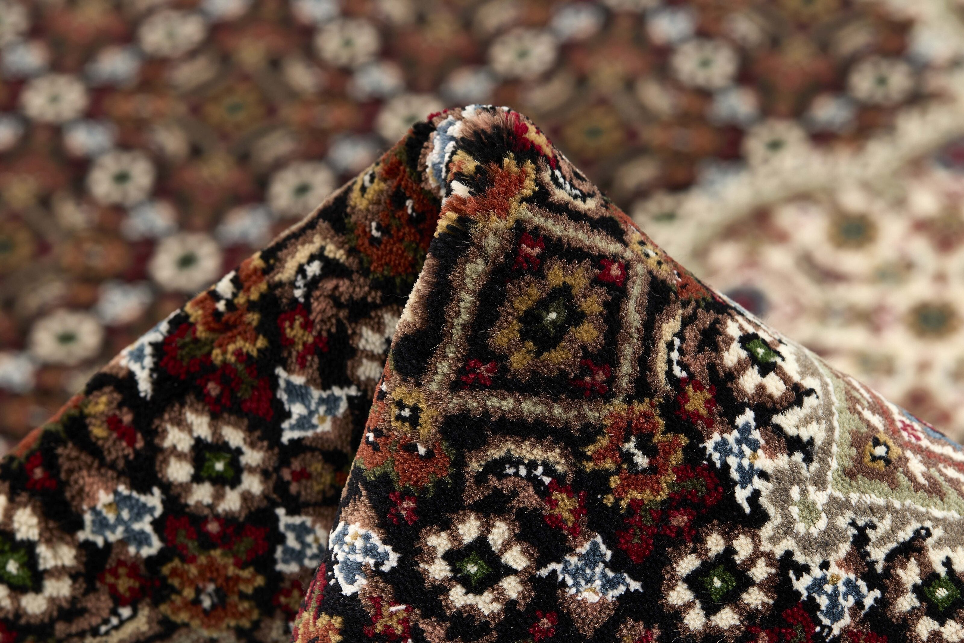 Tabriz Indi 1496961