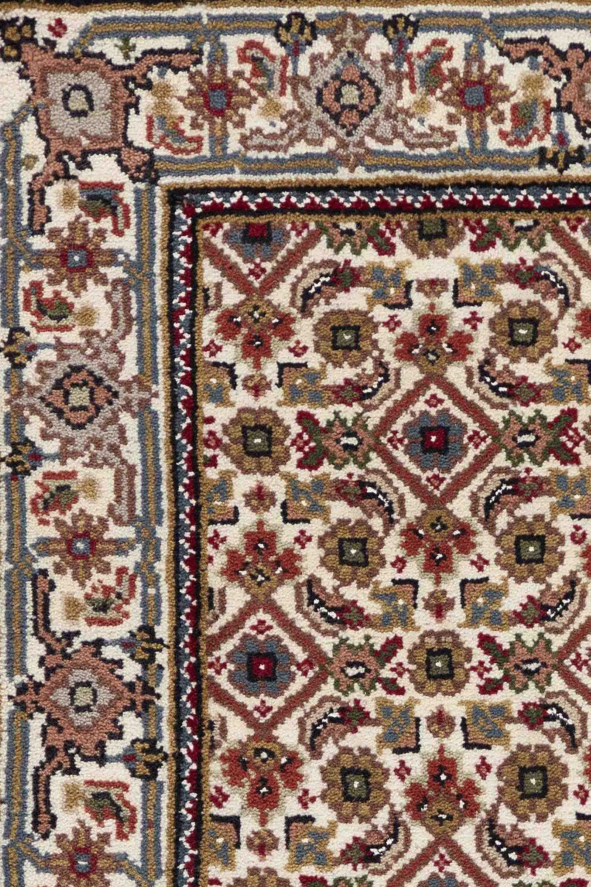 Tabriz Indi 1496988