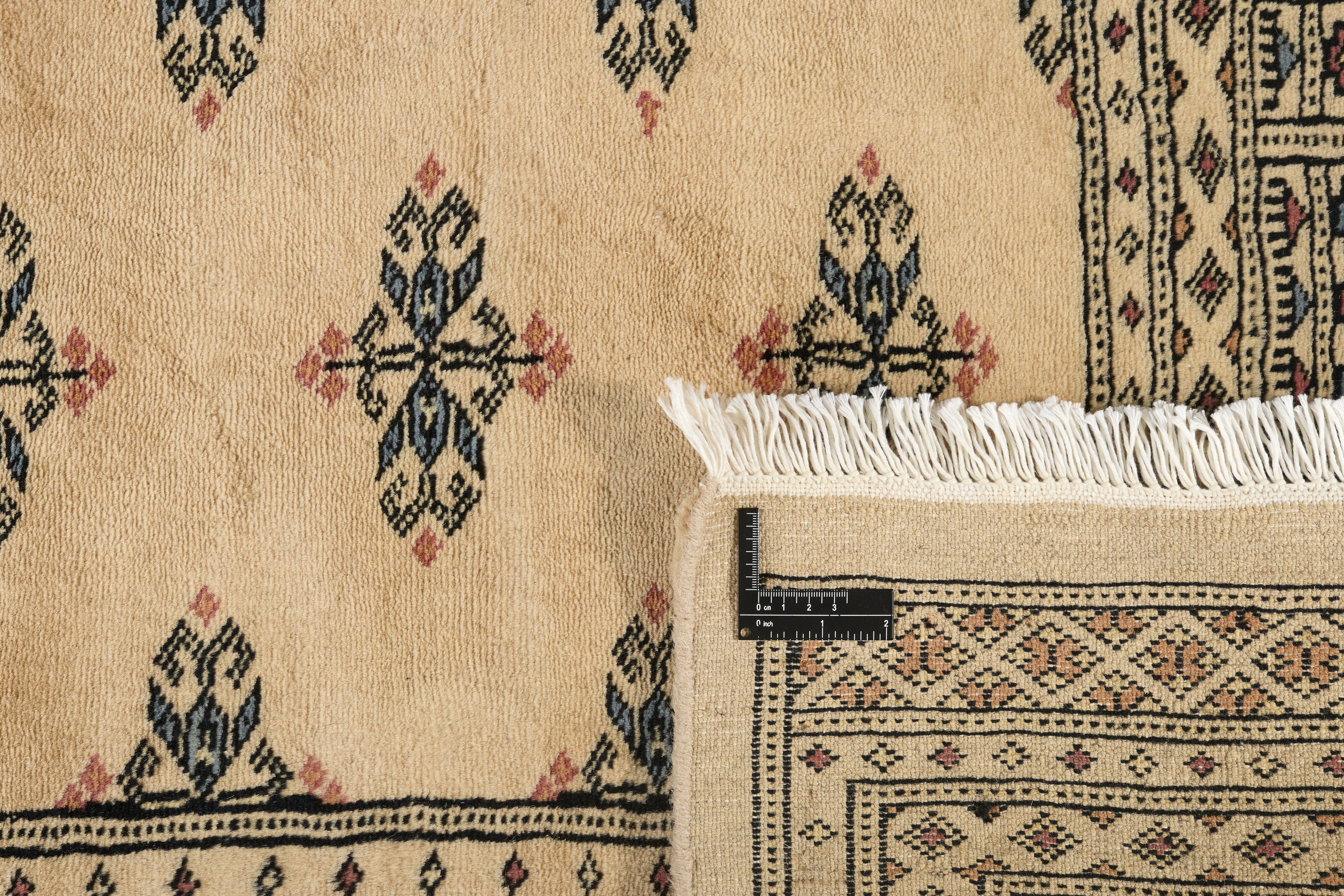 Beige Oriental rug with traditional bordered pattern