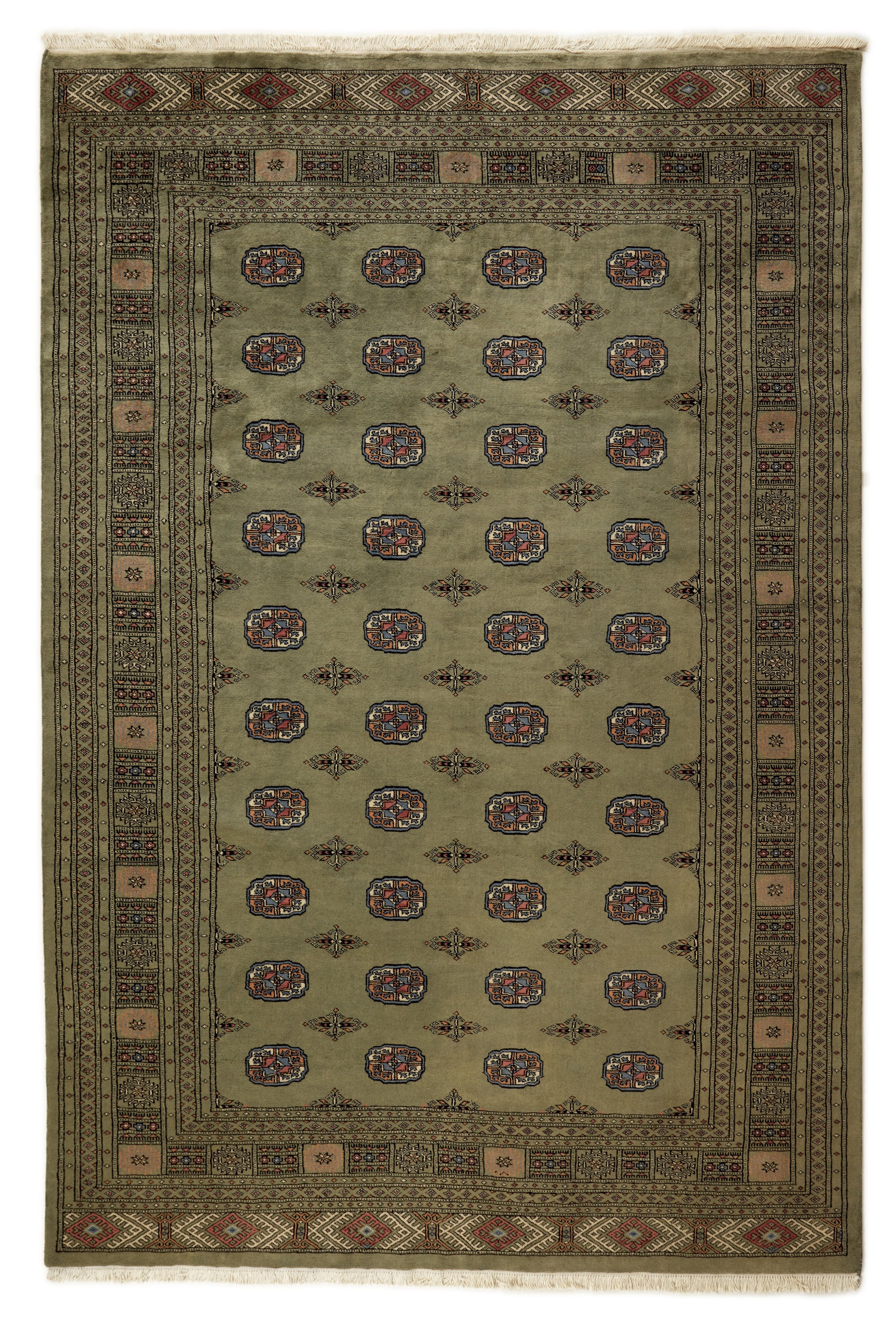 Green Oriental rug with traditional bordered pattern
