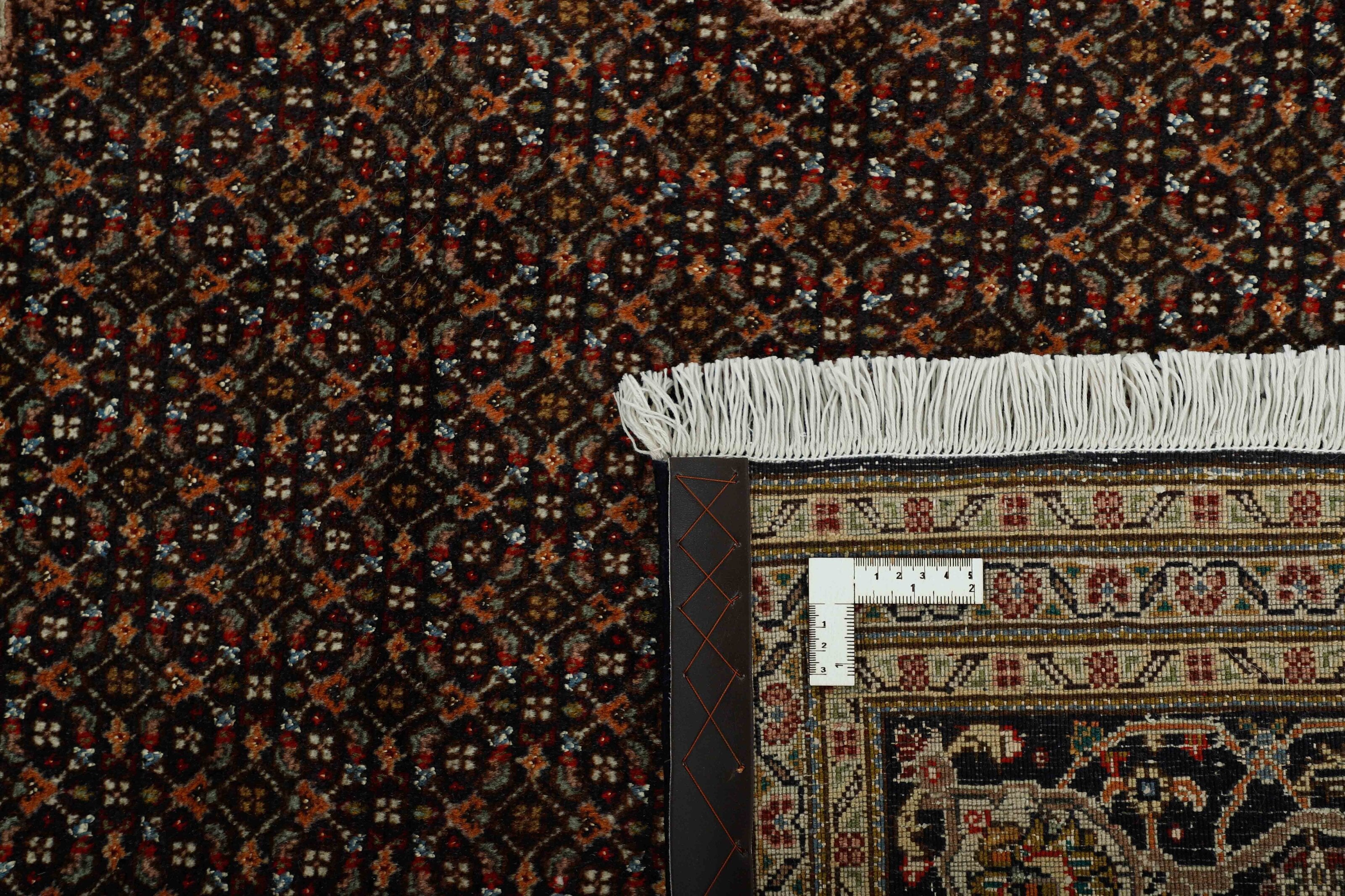 Tabriz 40 Mahi 1499311