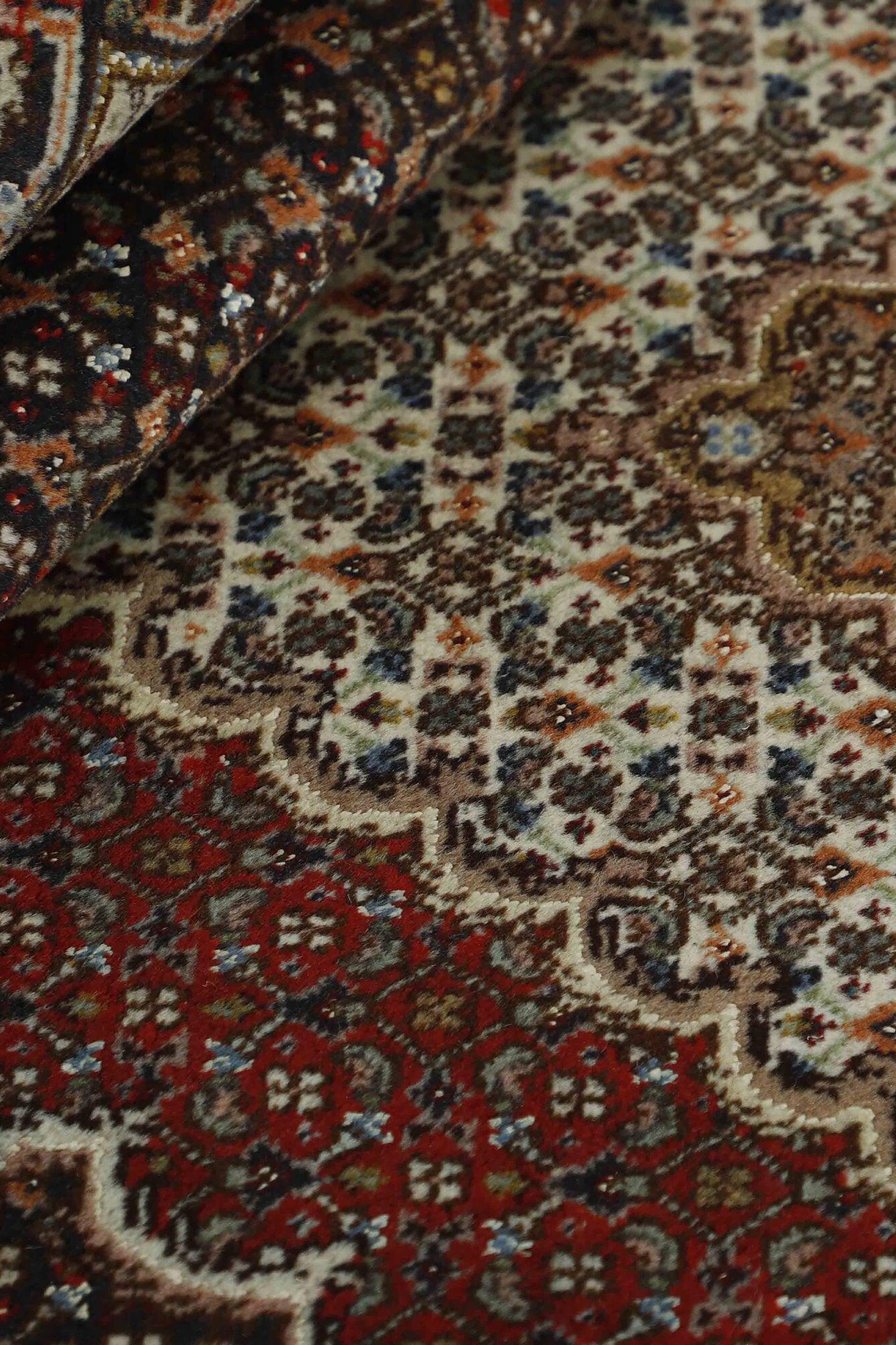 Tabriz 40 Mahi 1499311