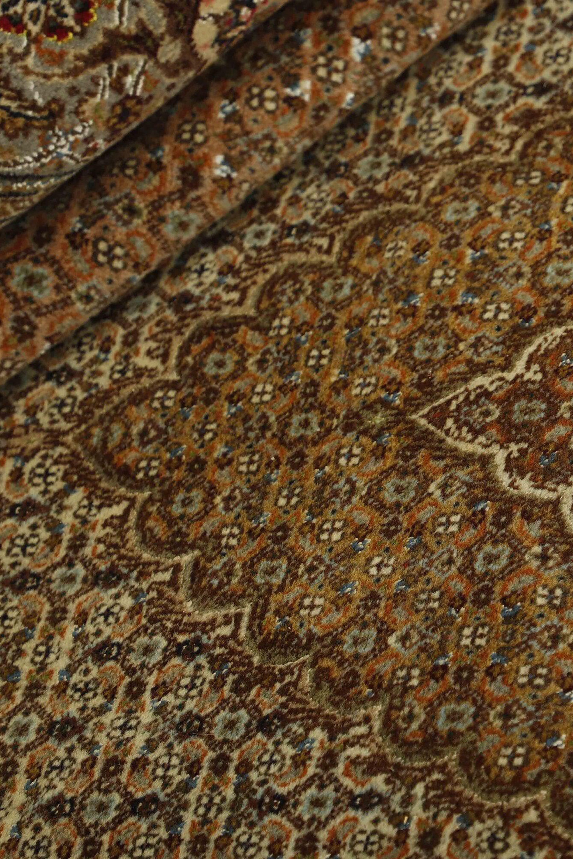 Tabriz 40 Mahi 1499332