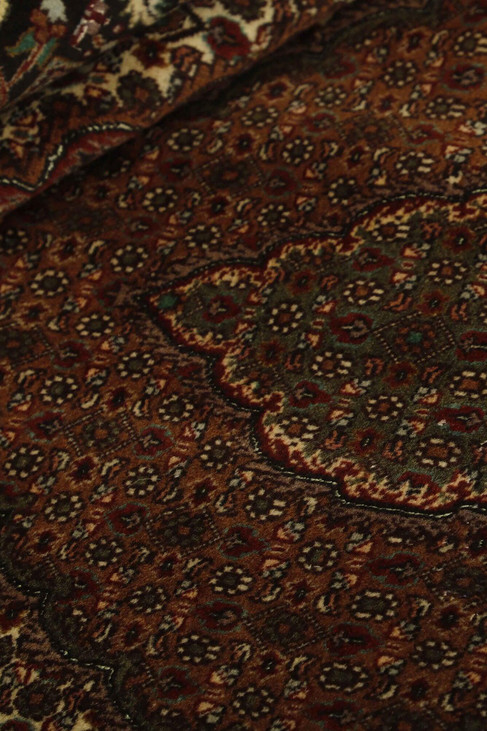 Tabriz 40 Mahi 1499333