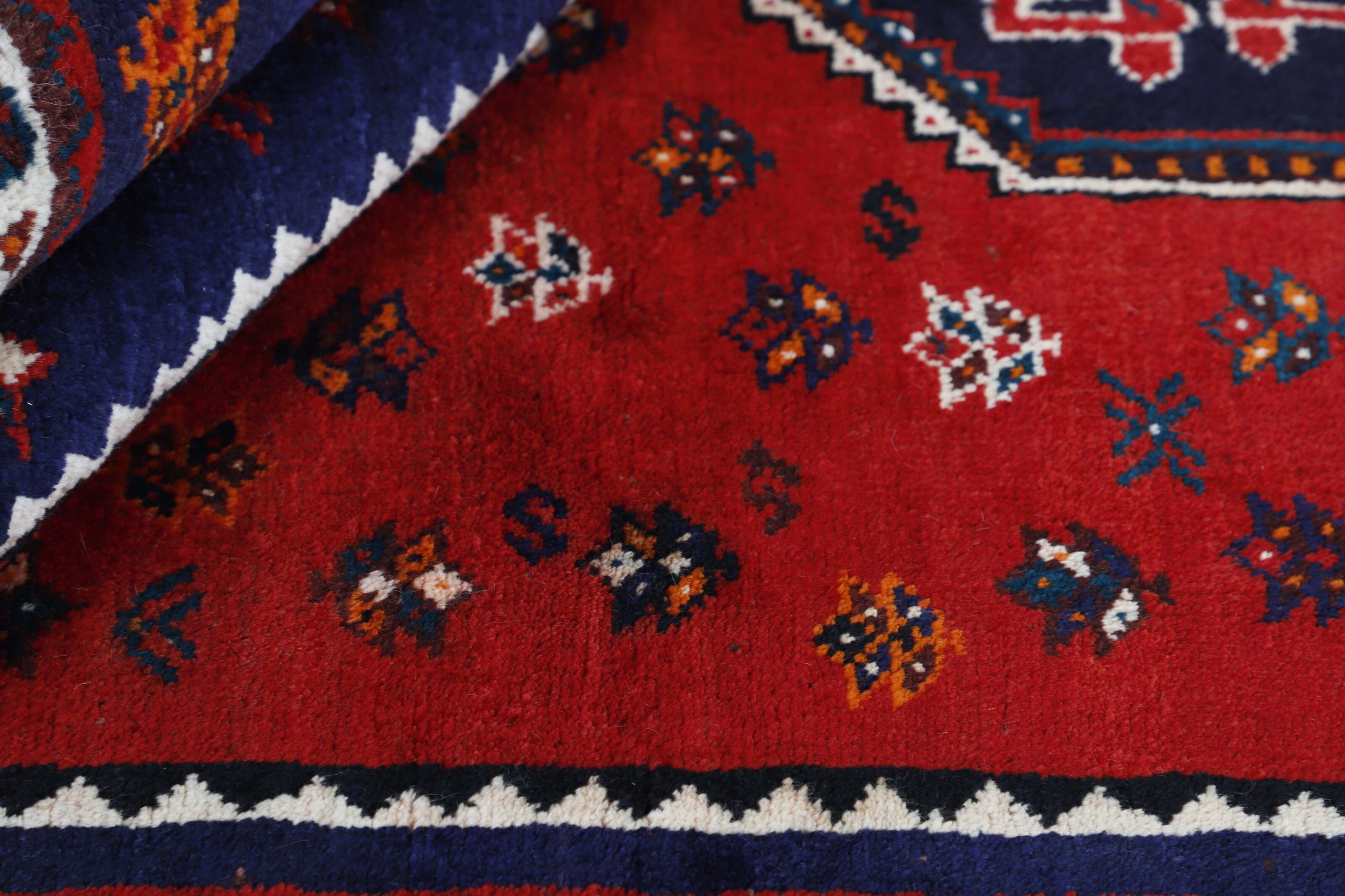 Shiraz 1499739