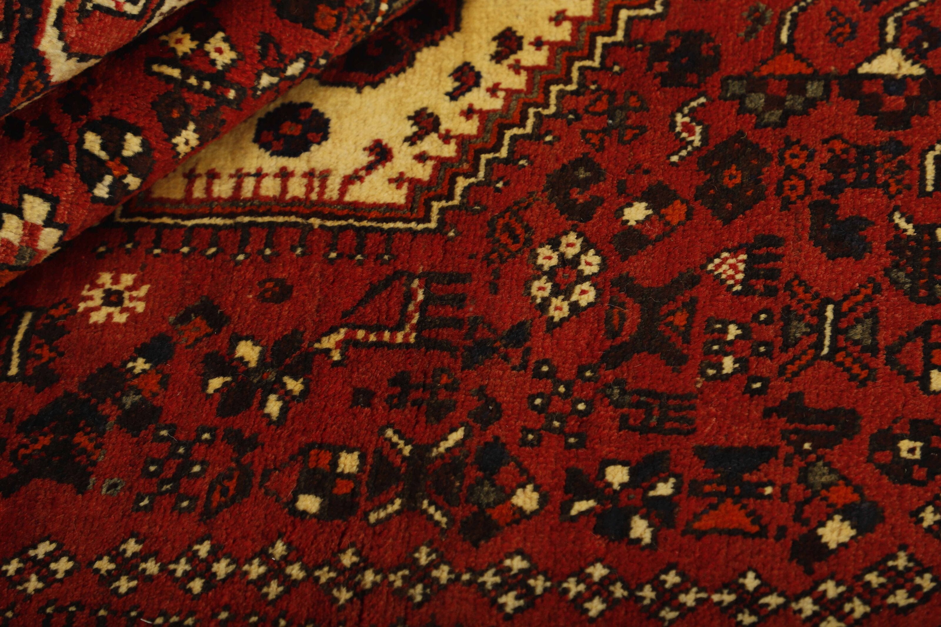 Shiraz 1499741