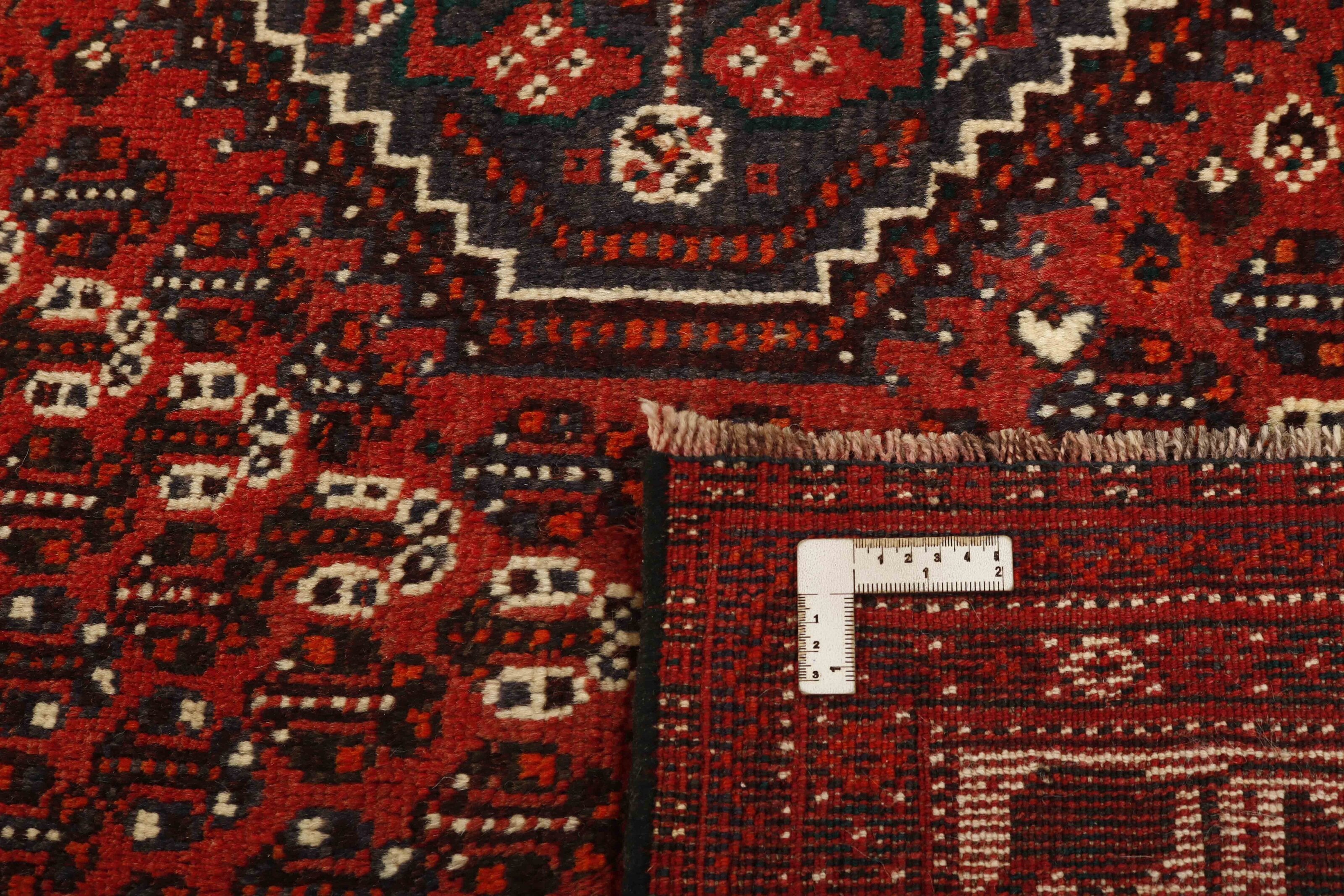 Shiraz 1499777
