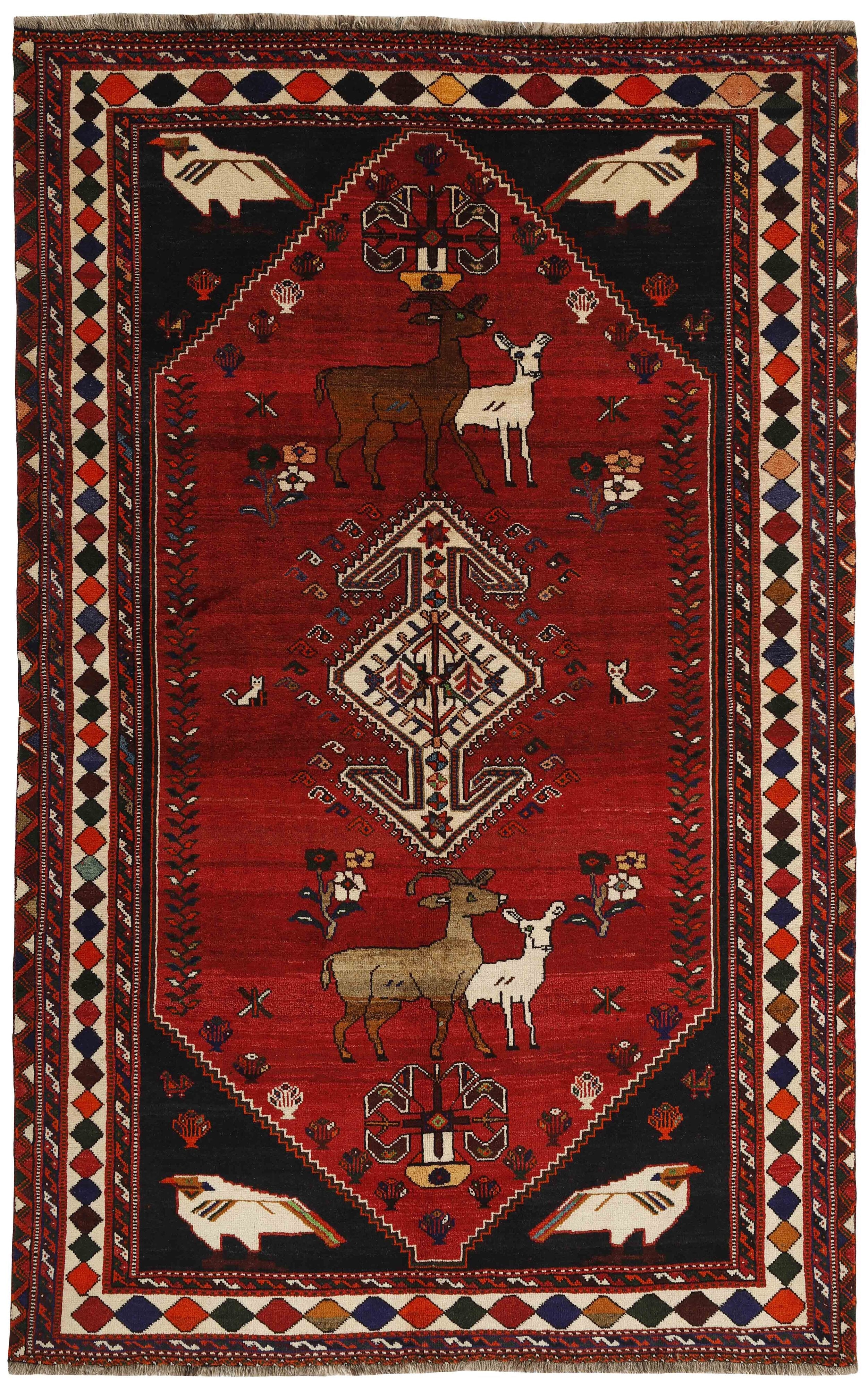 Shiraz 1499786
