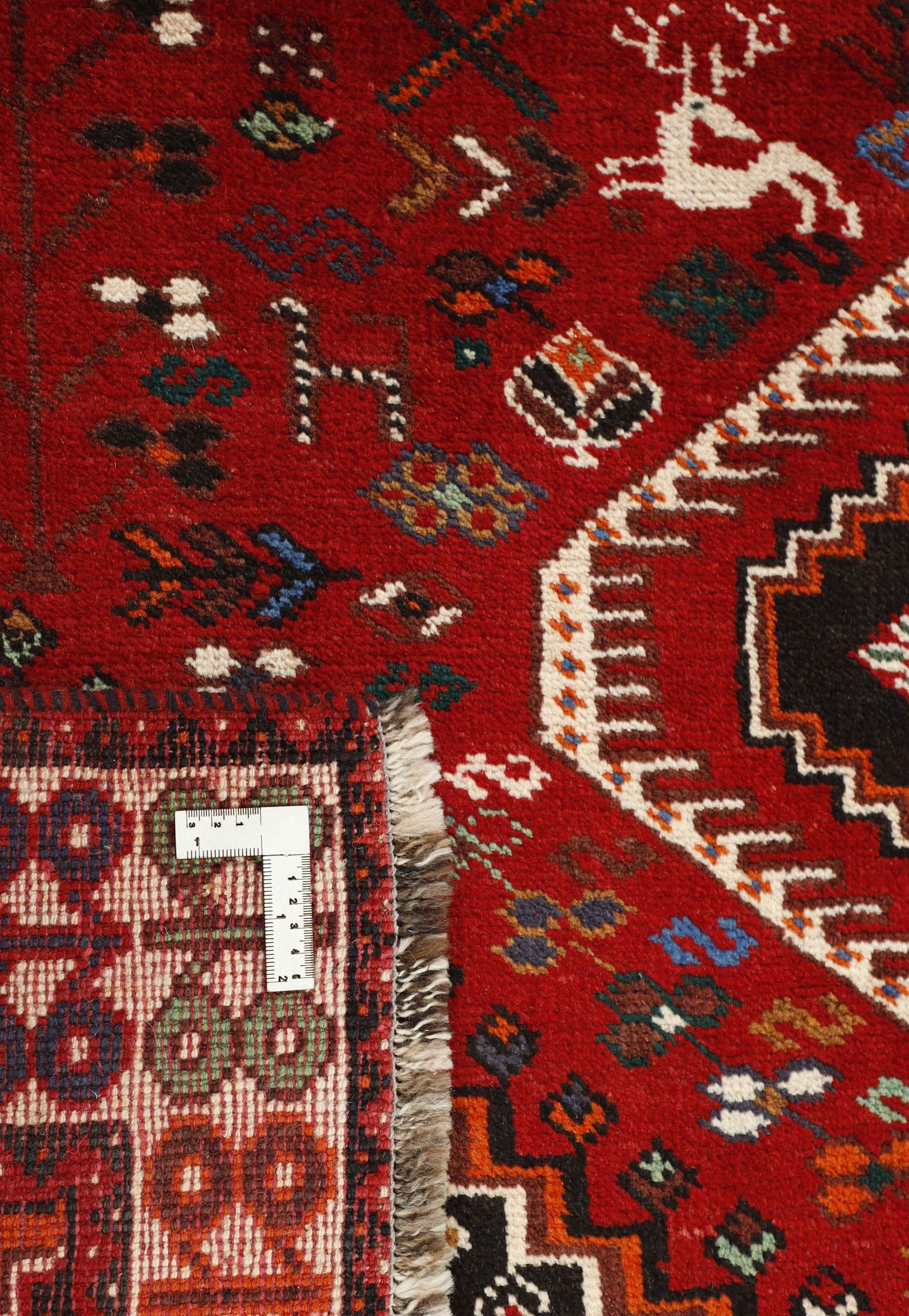 Shiraz 1499792