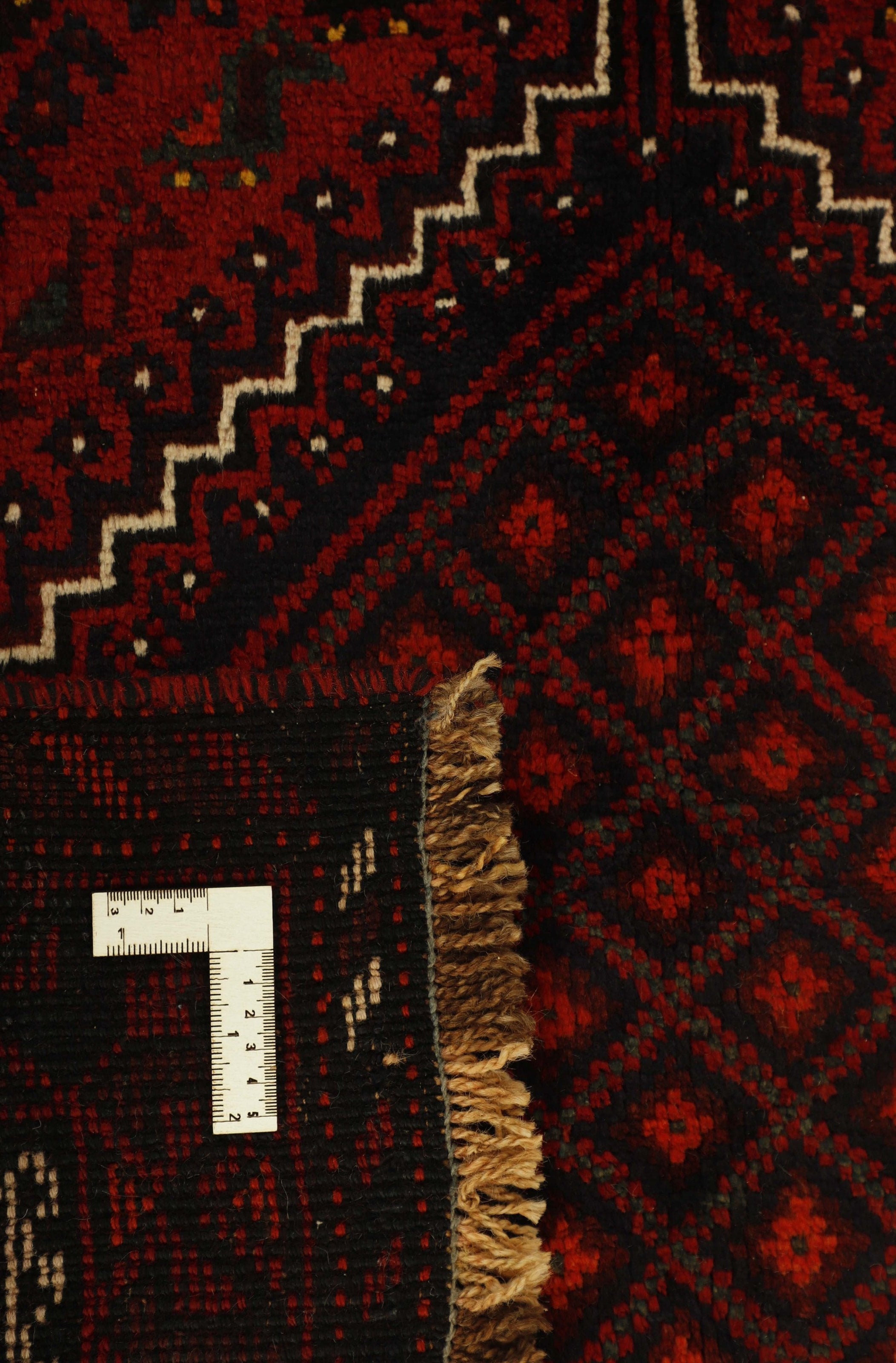 Shiraz 1499798